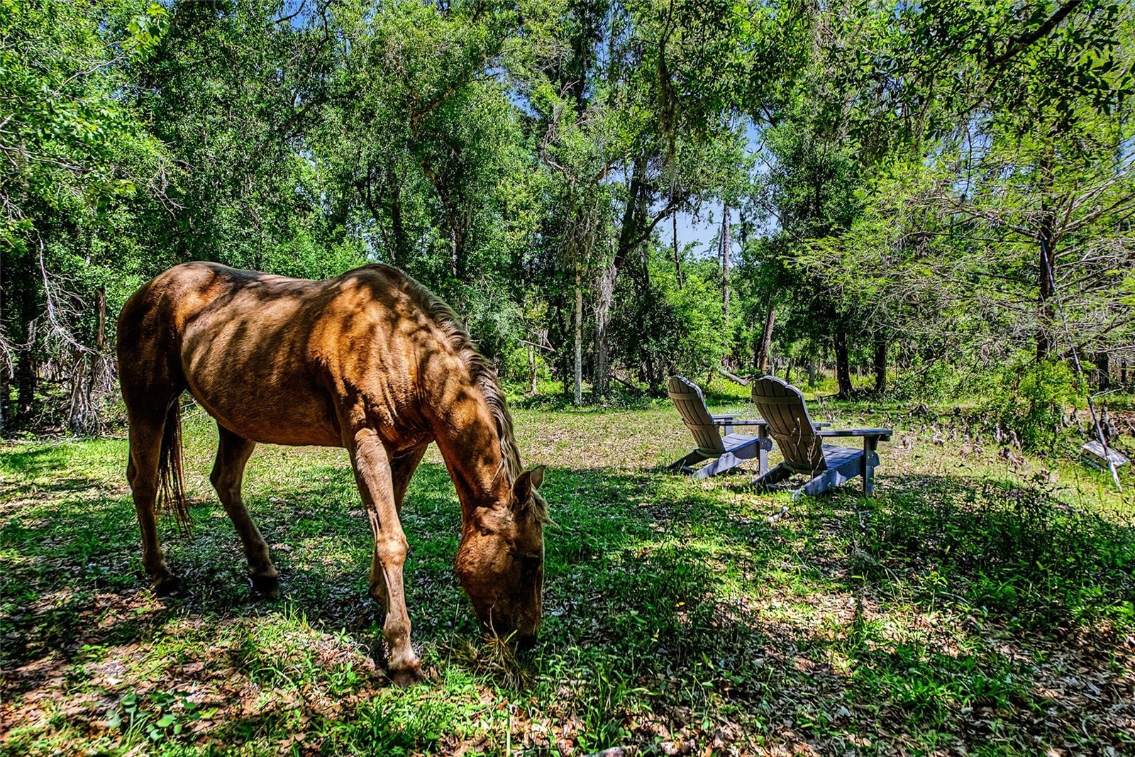 15750 WILSON RD, SARASOTA, FL, 34240