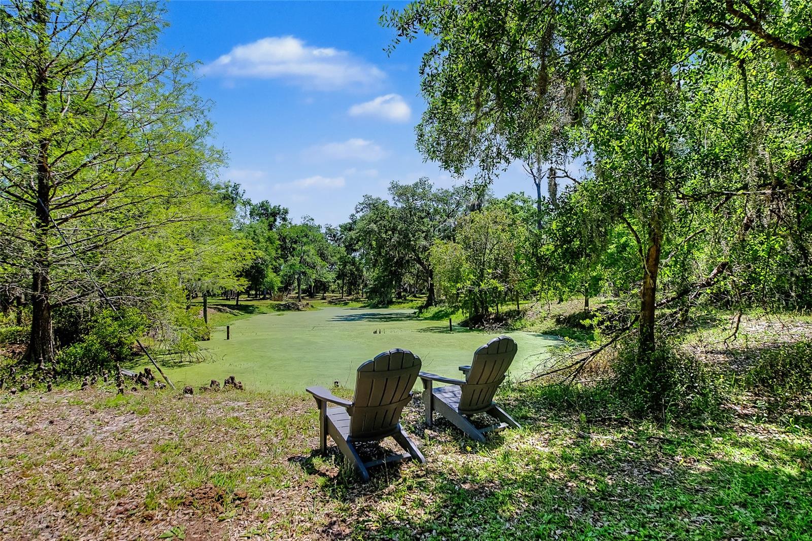 15750 WILSON RD, SARASOTA, FL, 34240