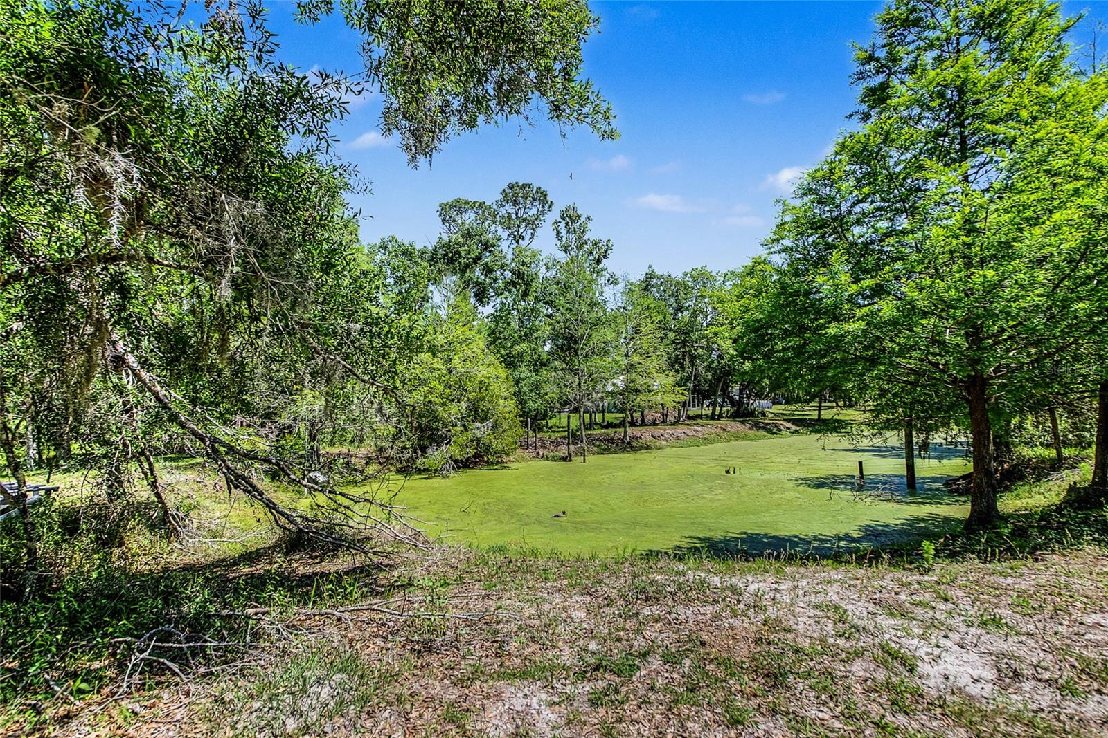 15750 WILSON RD, SARASOTA, FL, 34240