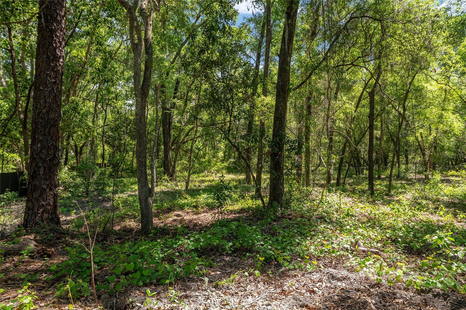 20264 SW 69TH PL, DUNNELLON, FL, 34431