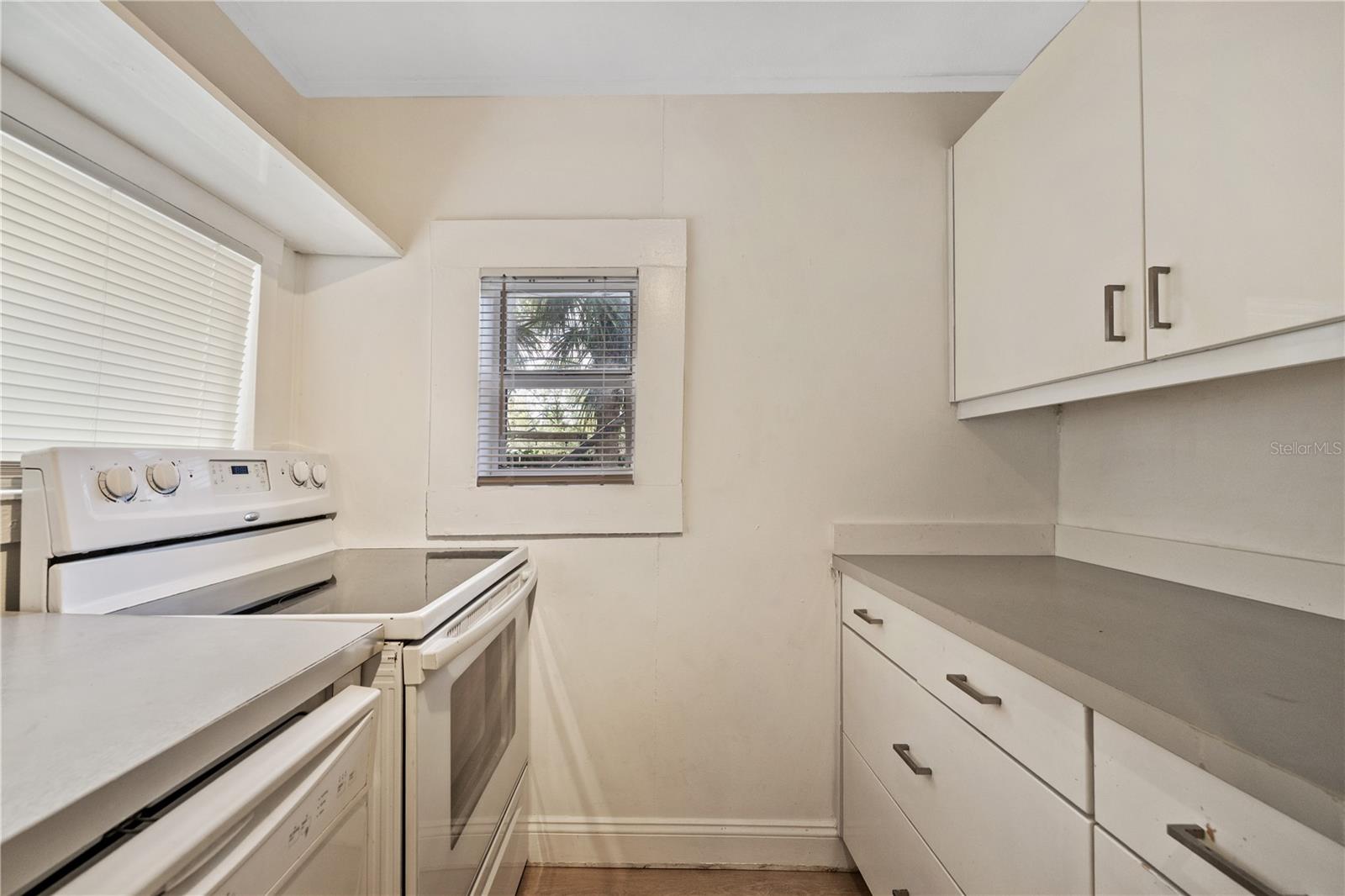 6703 N ELIZABETH ST #1, TAMPA, FL, 33604