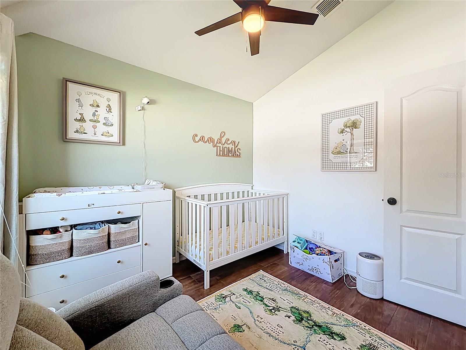 915 ARBOR POINTE AVE, MINNEOLA, FL, 34715