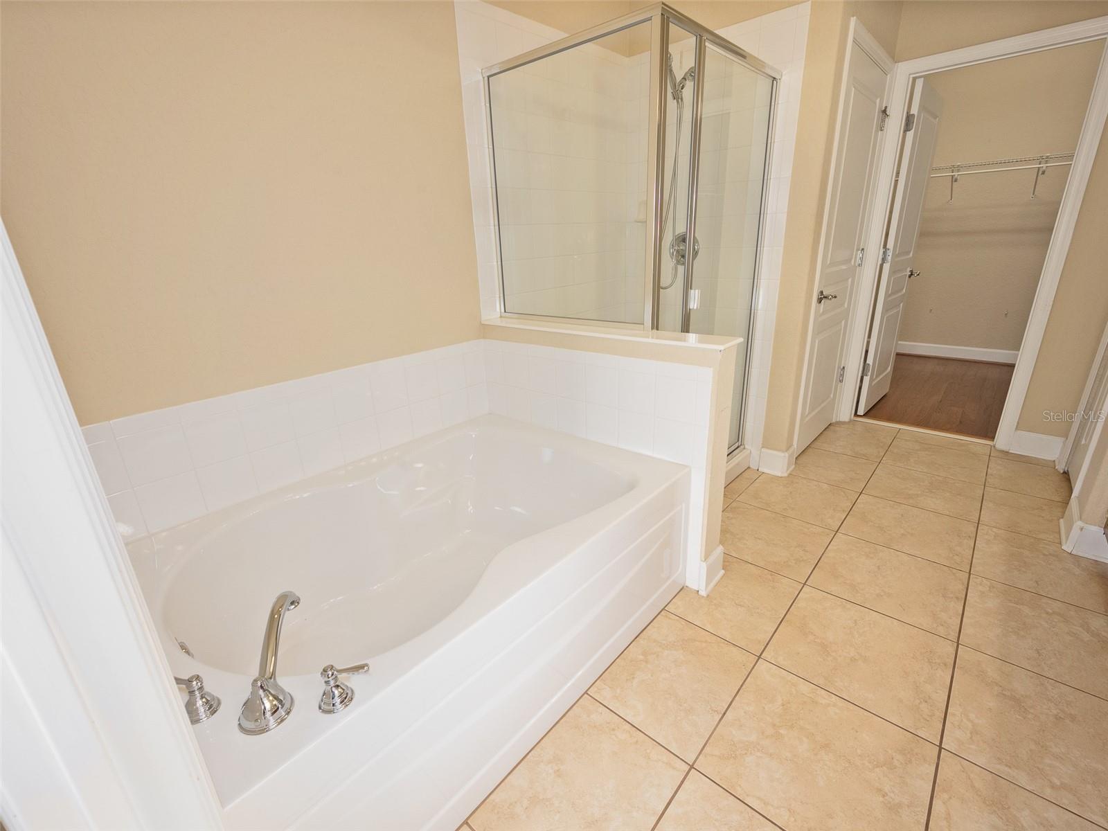 1409 MILLEDGE LN #1409, DAVENPORT, FL, 33896