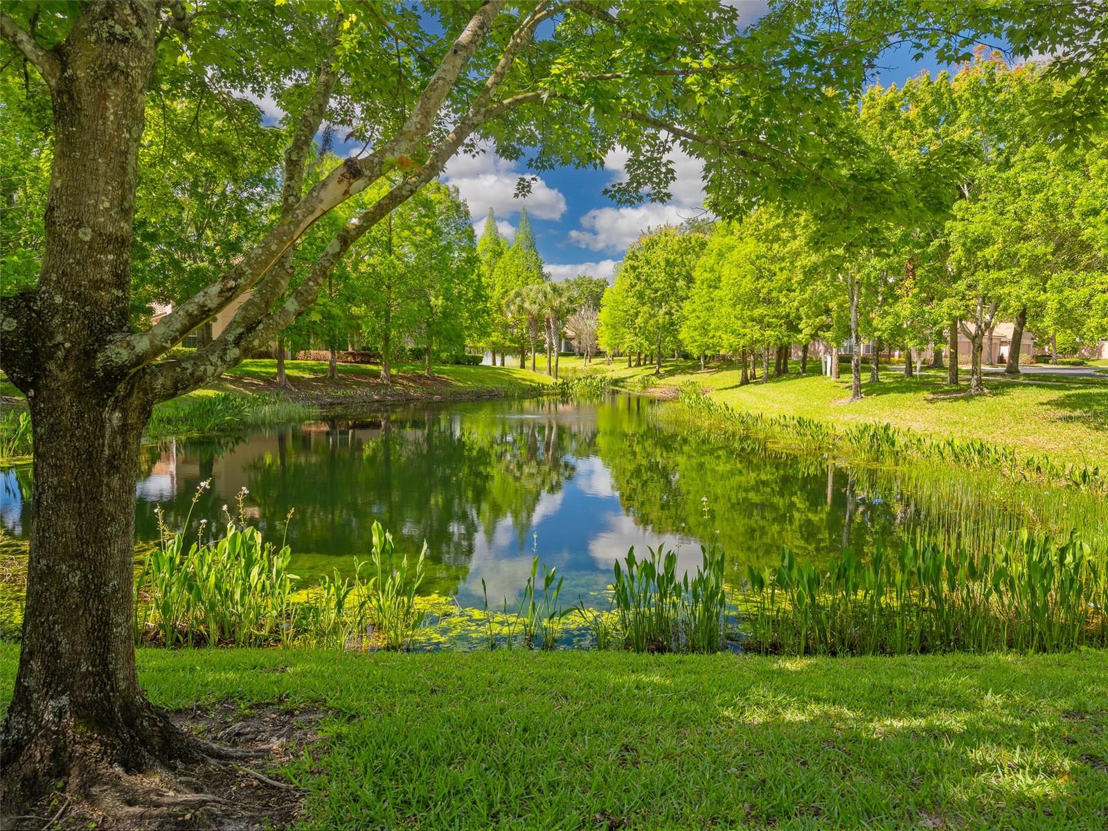 1409 MILLEDGE LN #1409, DAVENPORT, FL, 33896