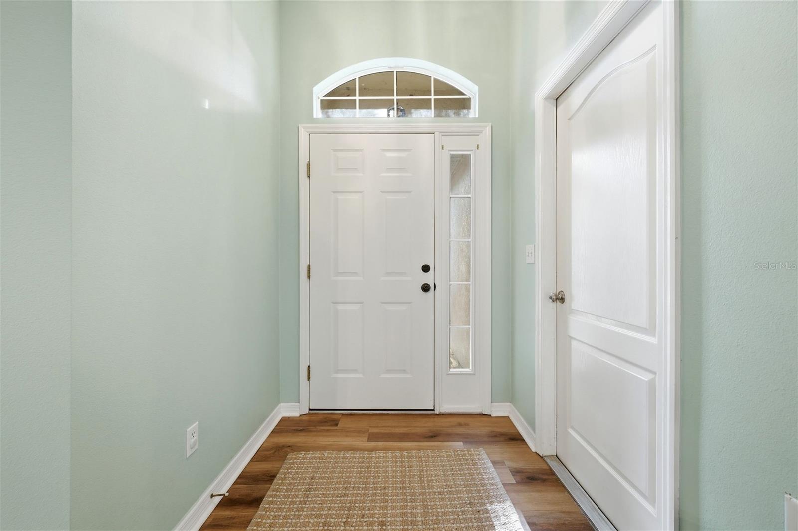 625 WILLOW RUN ST, MINNEOLA, FL, 34715