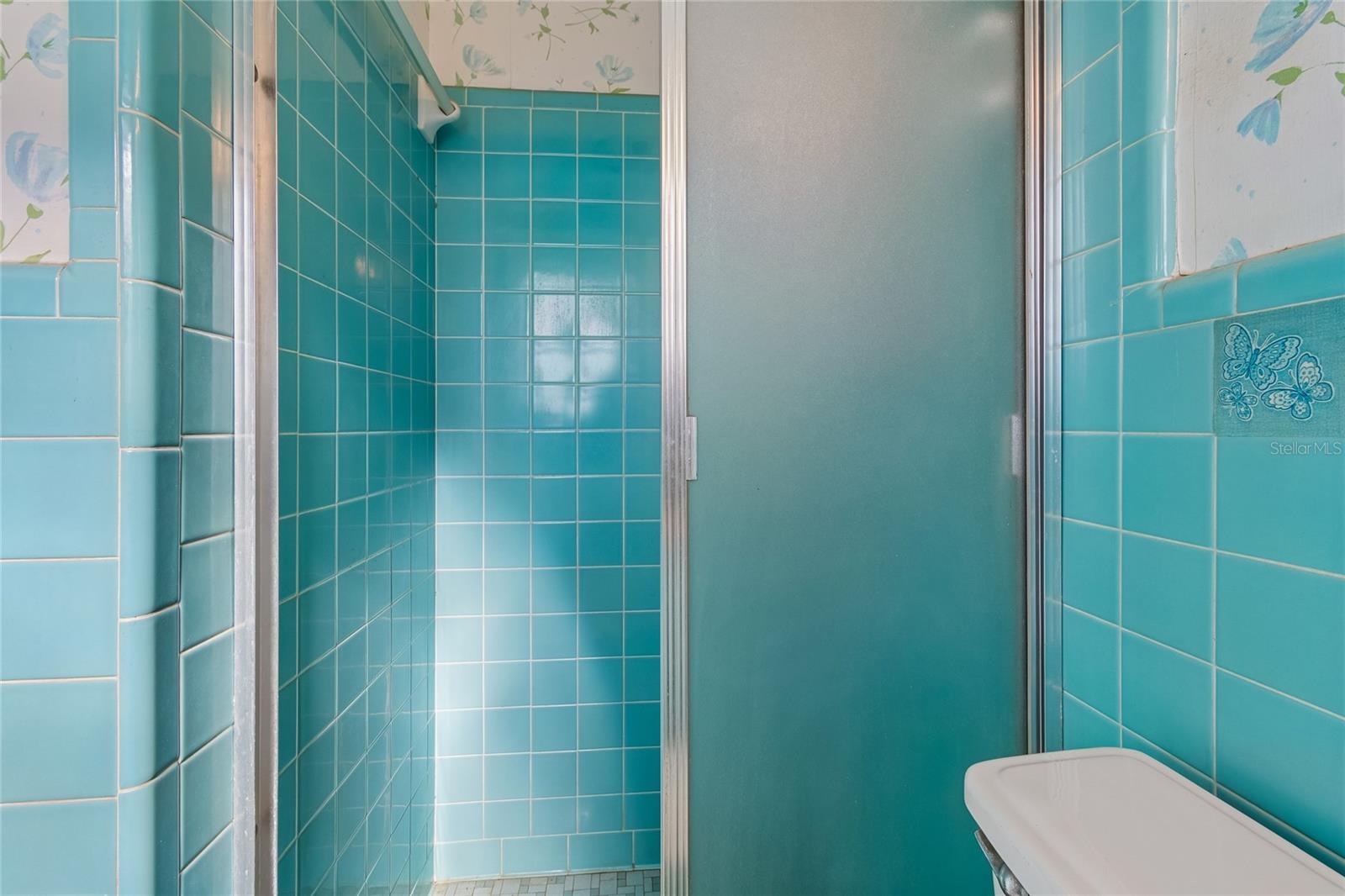 4703 S RENELLIE DR, TAMPA, FL, 33611