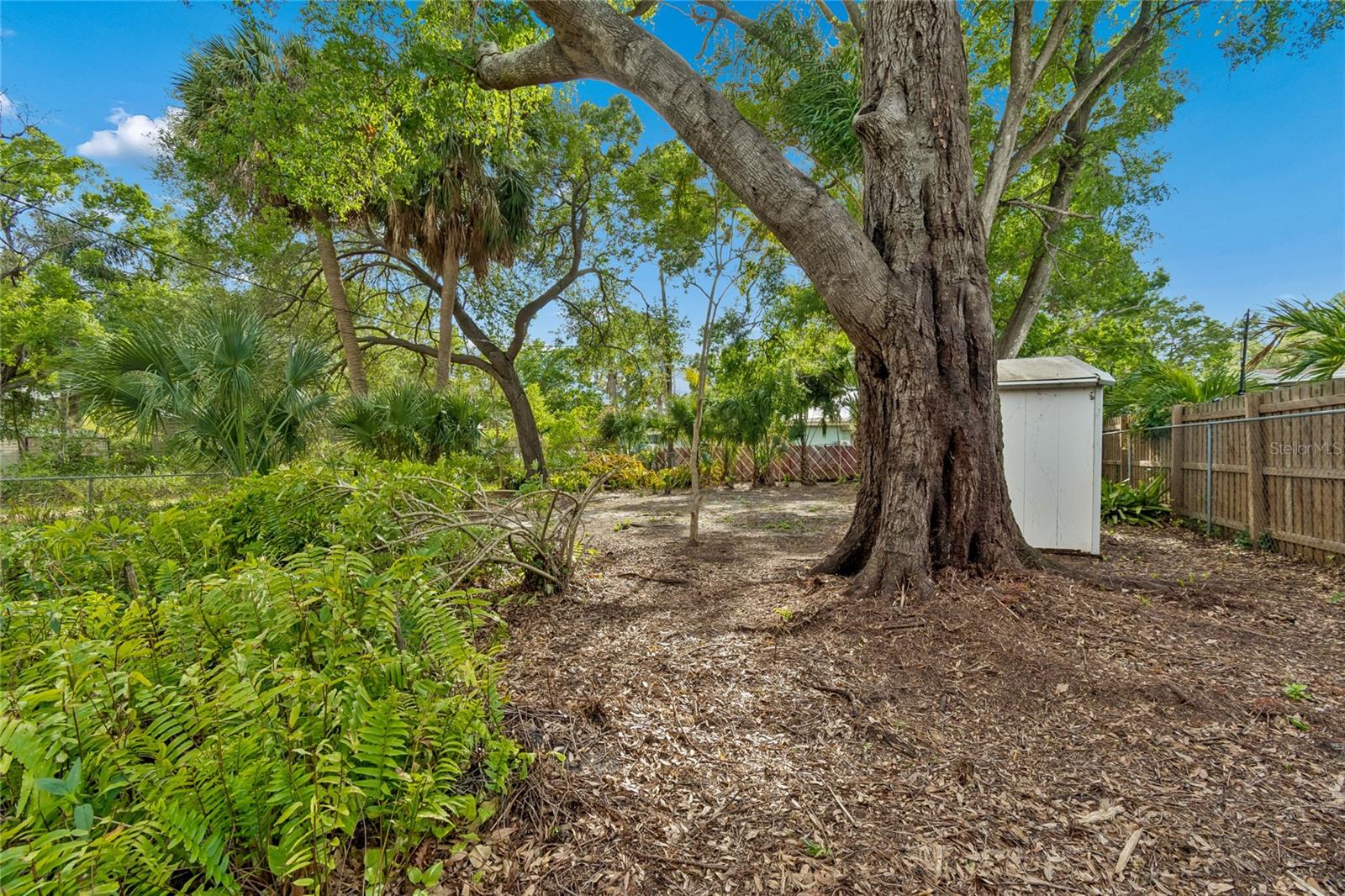 4703 S RENELLIE DR, TAMPA, FL, 33611