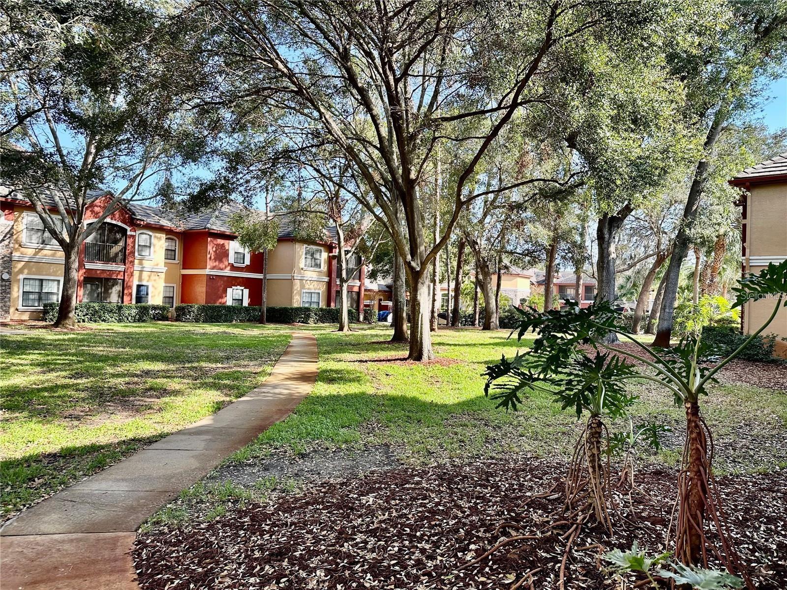 2199 CHIANTI PL #9-0917, PALM HARBOR, FL, 34683