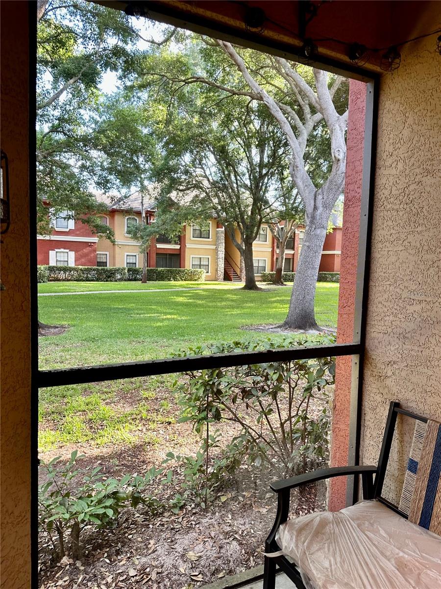 2199 CHIANTI PL #9-0917, PALM HARBOR, FL, 34683