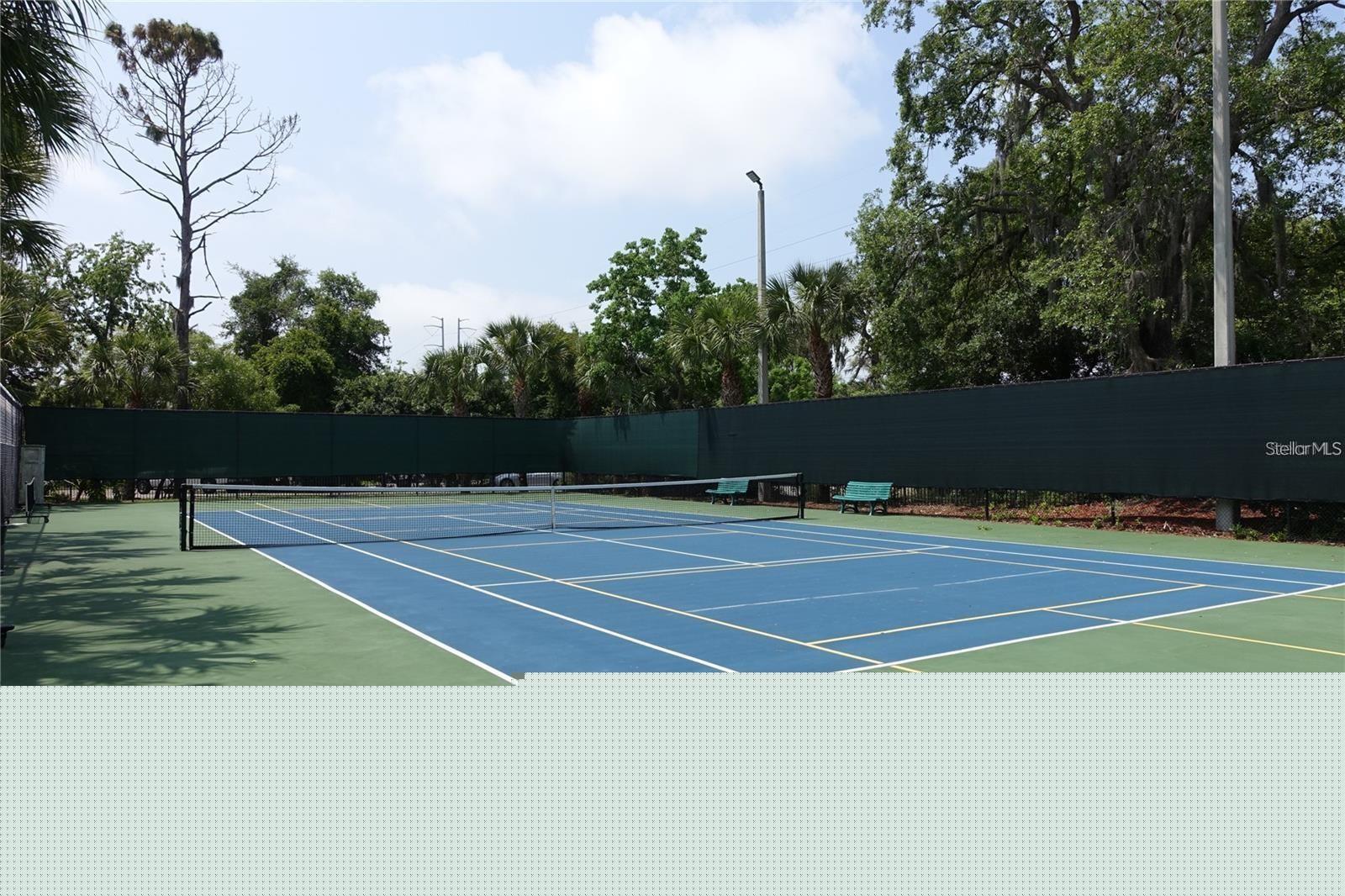 2199 CHIANTI PL #9-0917, PALM HARBOR, FL, 34683