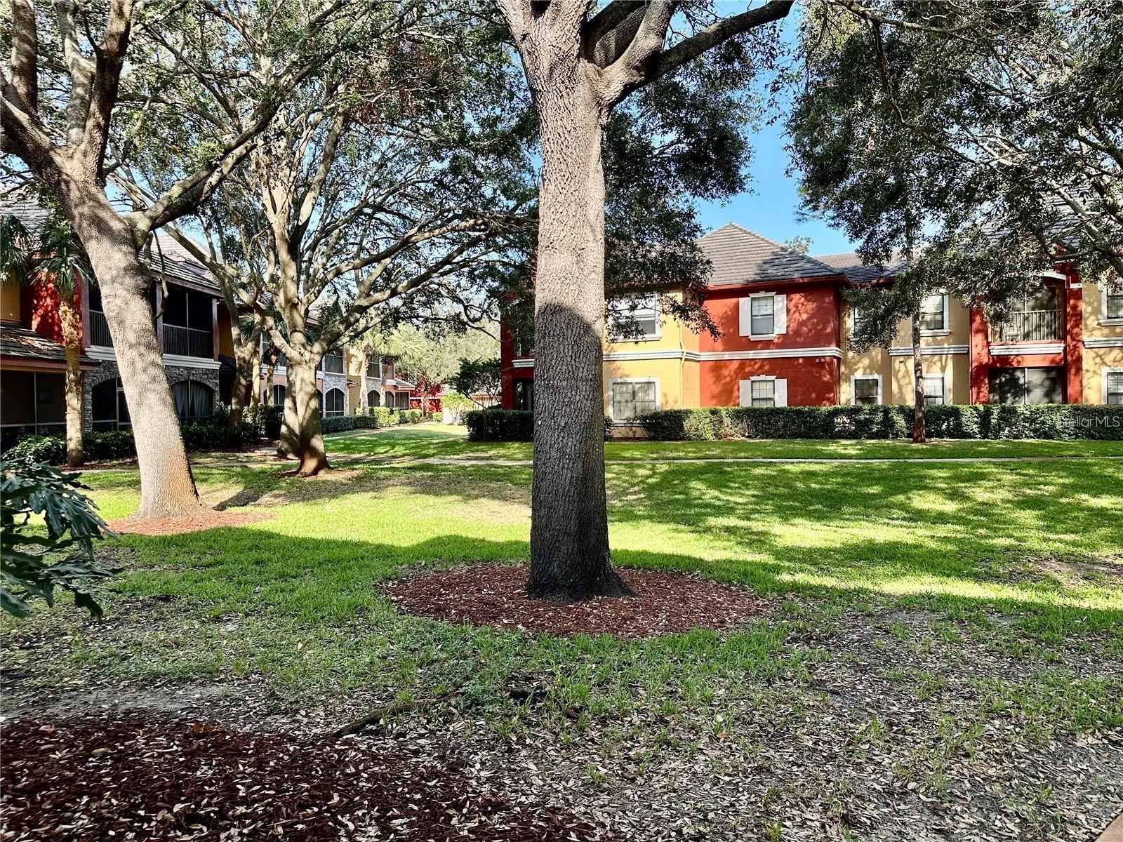 2199 CHIANTI PL #9-0917, PALM HARBOR, FL, 34683