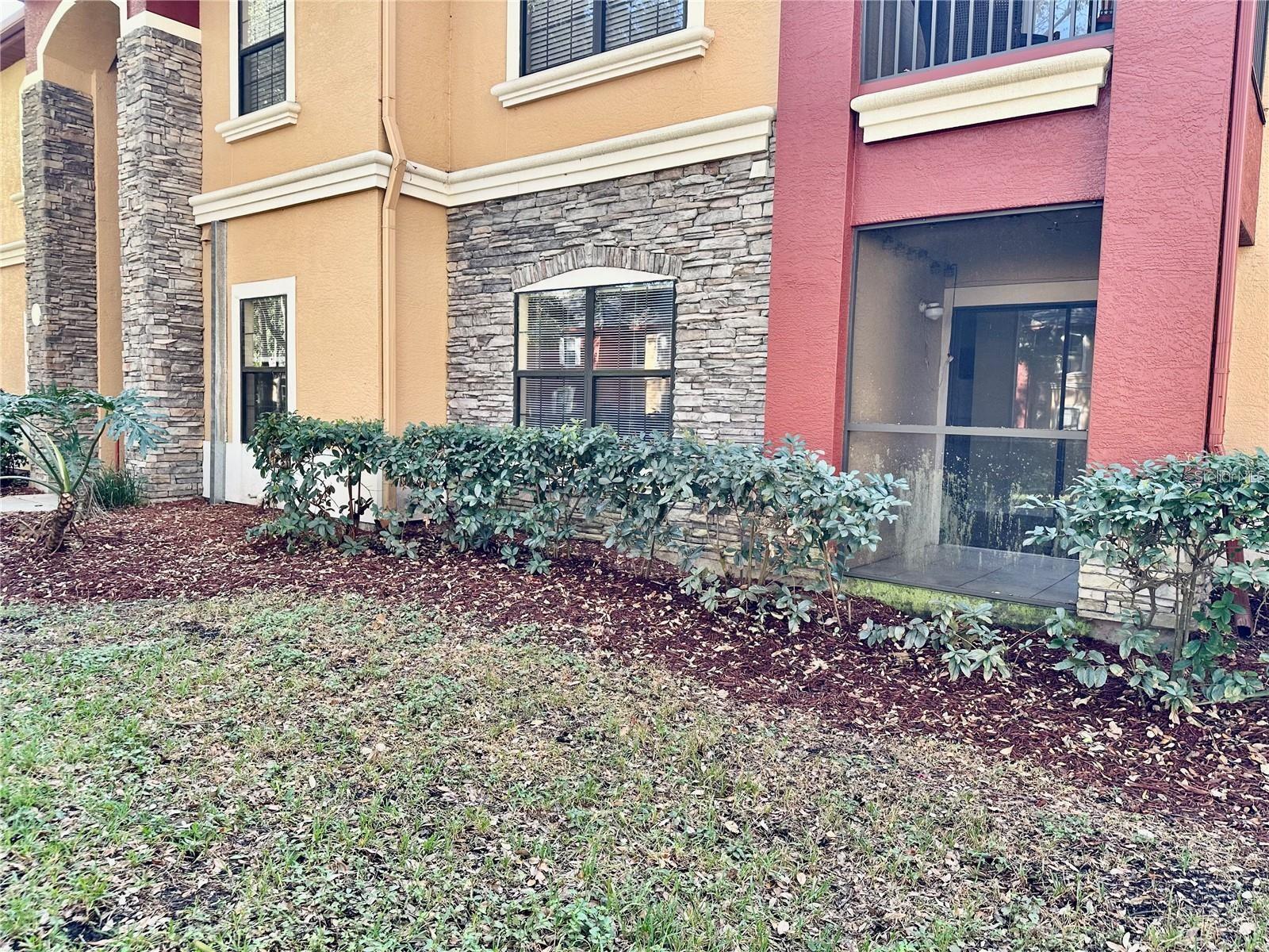 2199 CHIANTI PL #9-0917, PALM HARBOR, FL, 34683