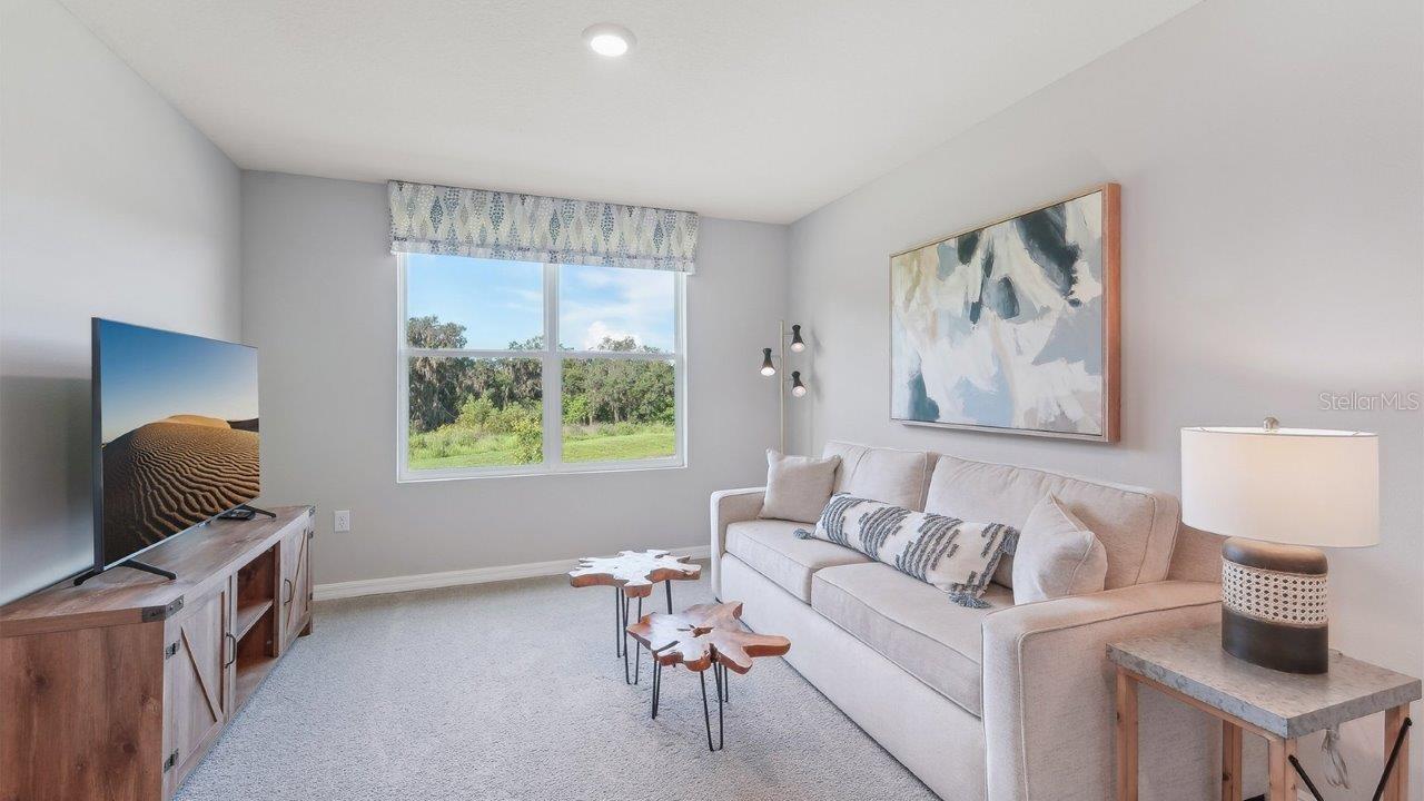 15030 CROSSHALL STREAM DR, WIMAUMA, FL, 33598