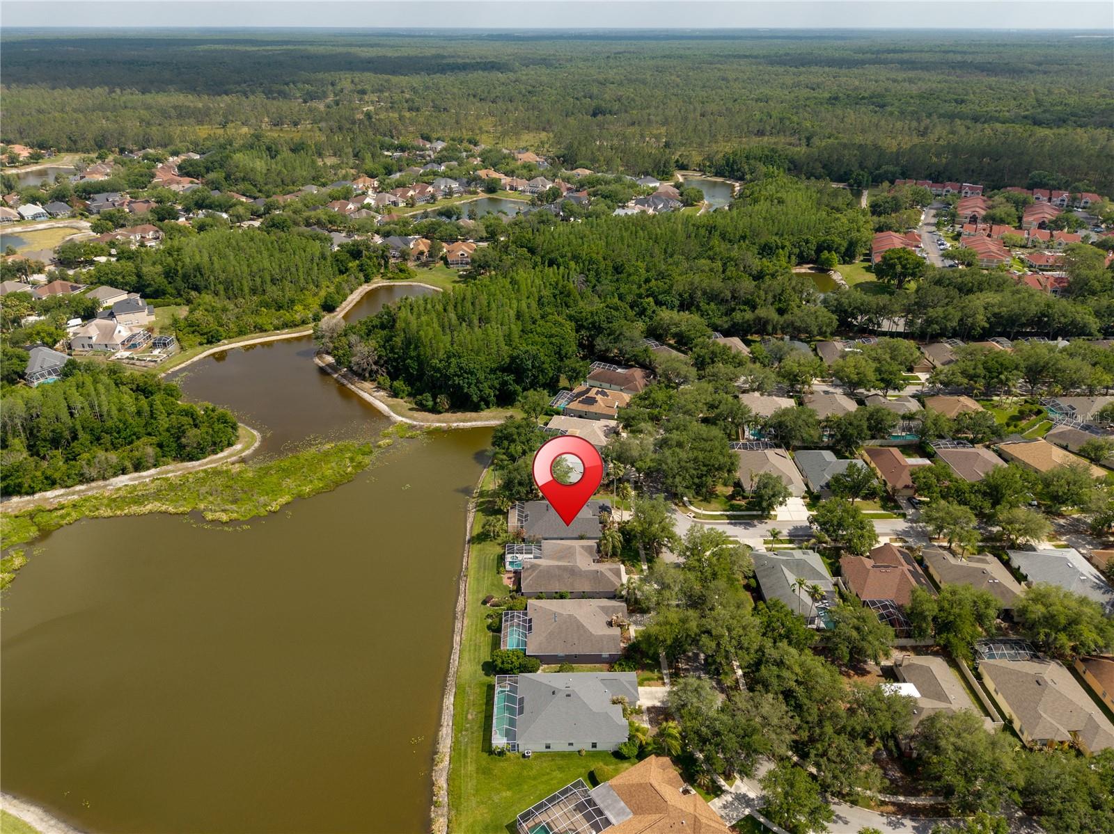 9442 HUNTERS POND DR, TAMPA, FL, 33647