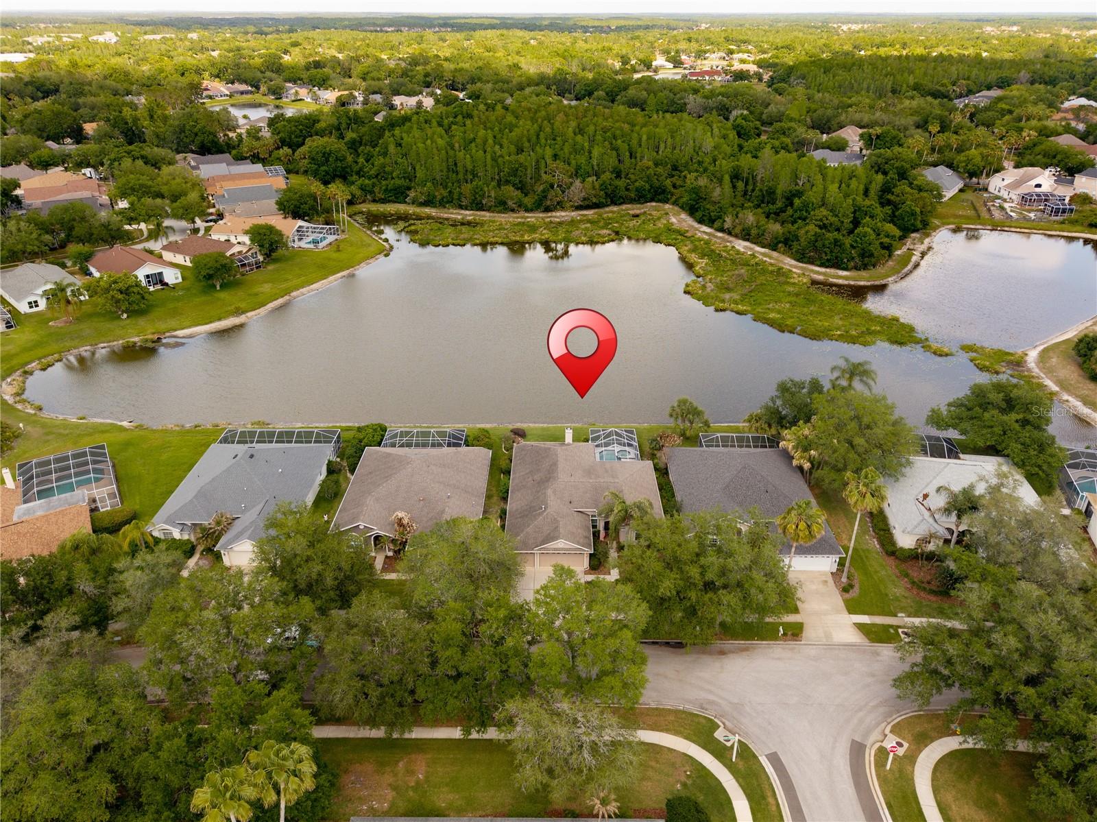 9442 HUNTERS POND DR, TAMPA, FL, 33647