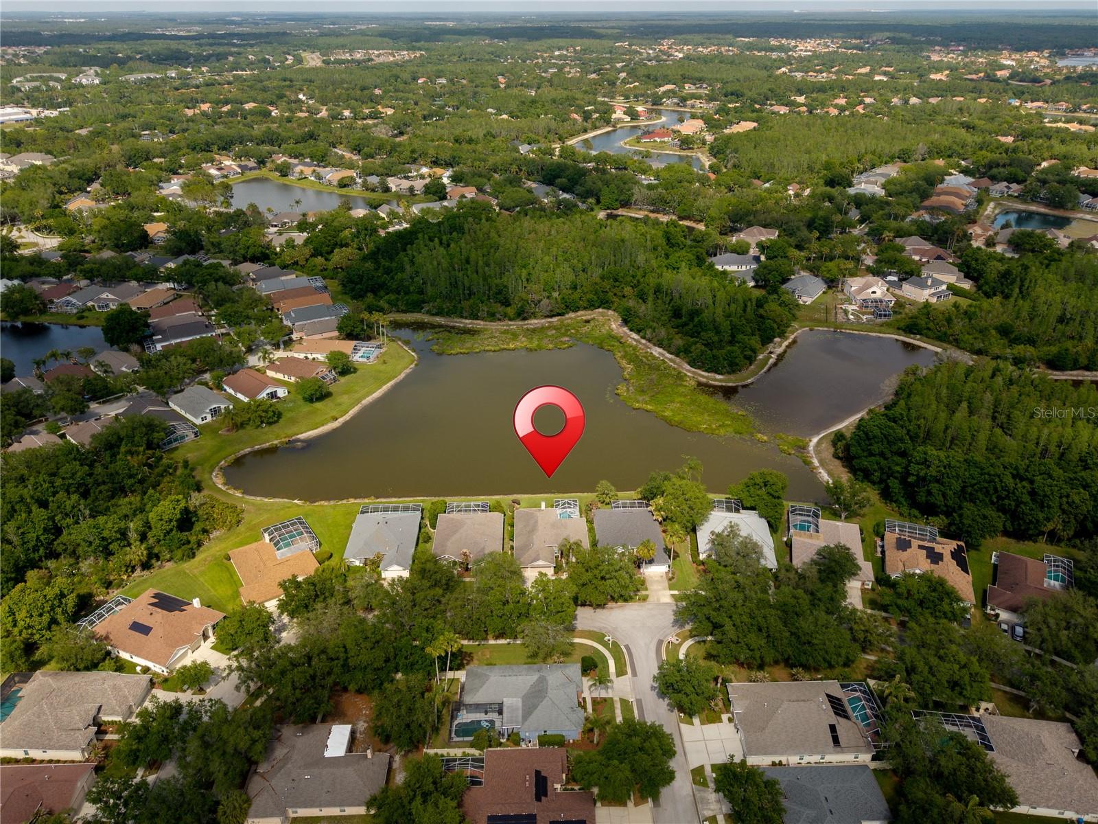 9442 HUNTERS POND DR, TAMPA, FL, 33647