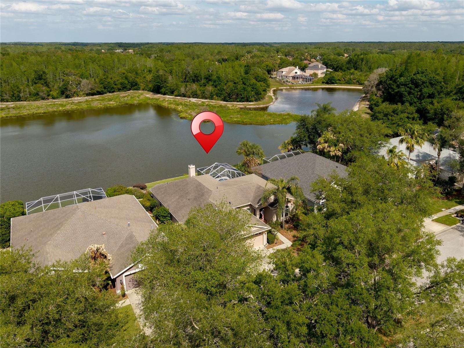 9442 HUNTERS POND DR, TAMPA, FL, 33647