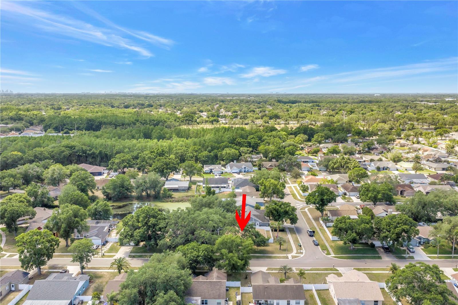 5810 BITTER ORANGE AVE, TAMPA, FL, 33625