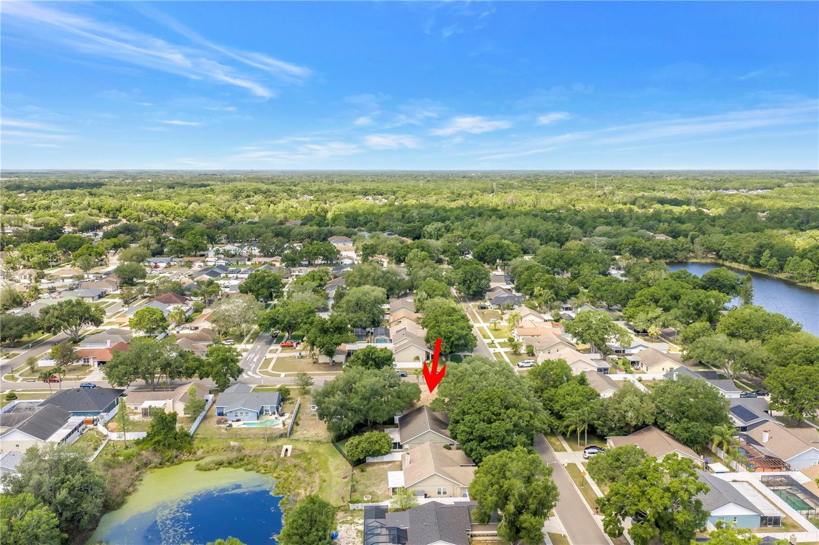 5810 BITTER ORANGE AVE, TAMPA, FL, 33625