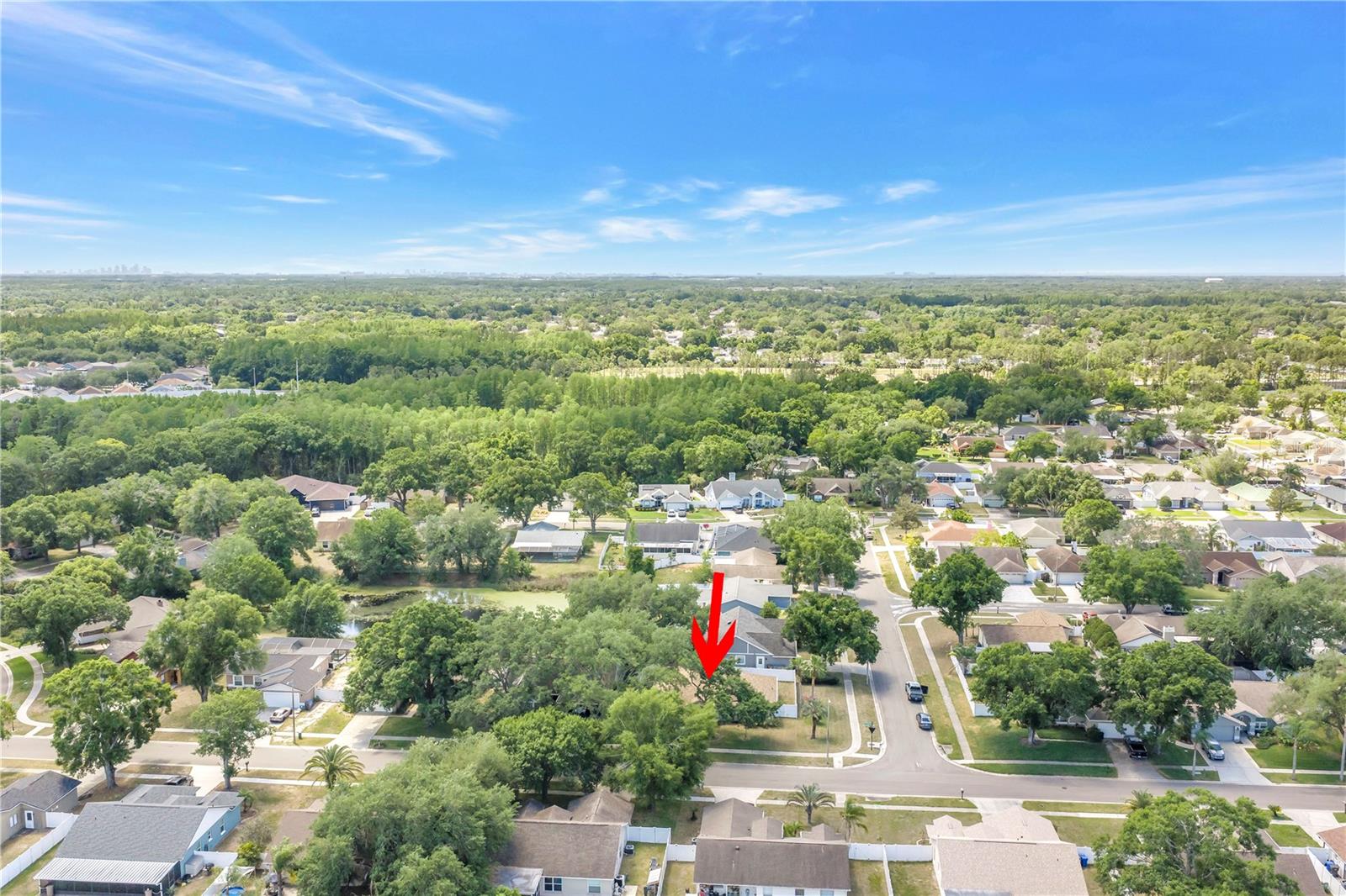 5810 BITTER ORANGE AVE, TAMPA, FL, 33625