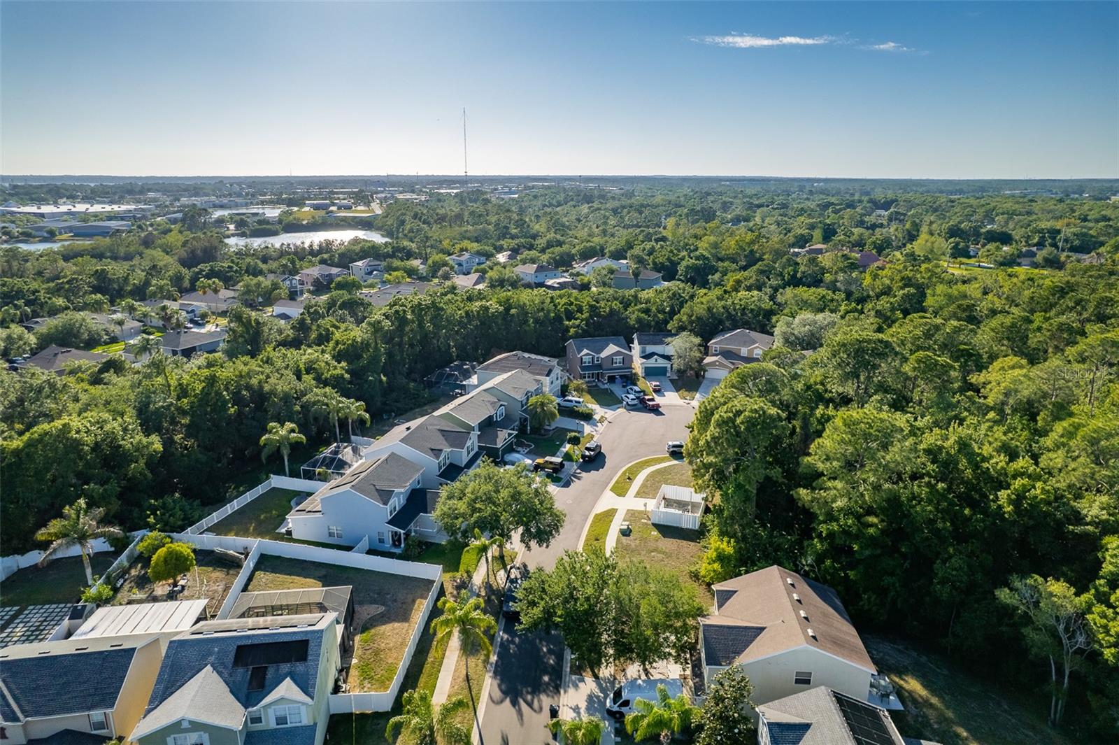 9004 GRAND BAYOU CT, TAMPA, FL, 33635