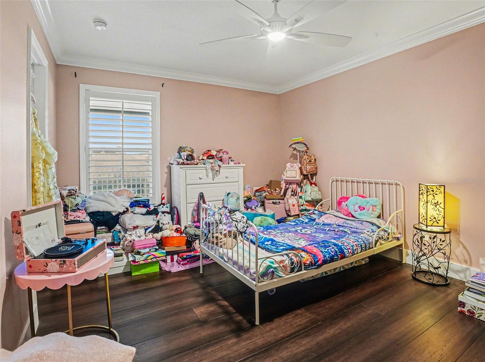 900 NOLA DR, OCOEE, FL, 34761