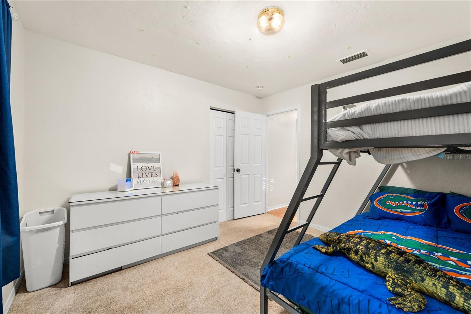 6234 NW 41ST DR, GAINESVILLE, FL, 32653