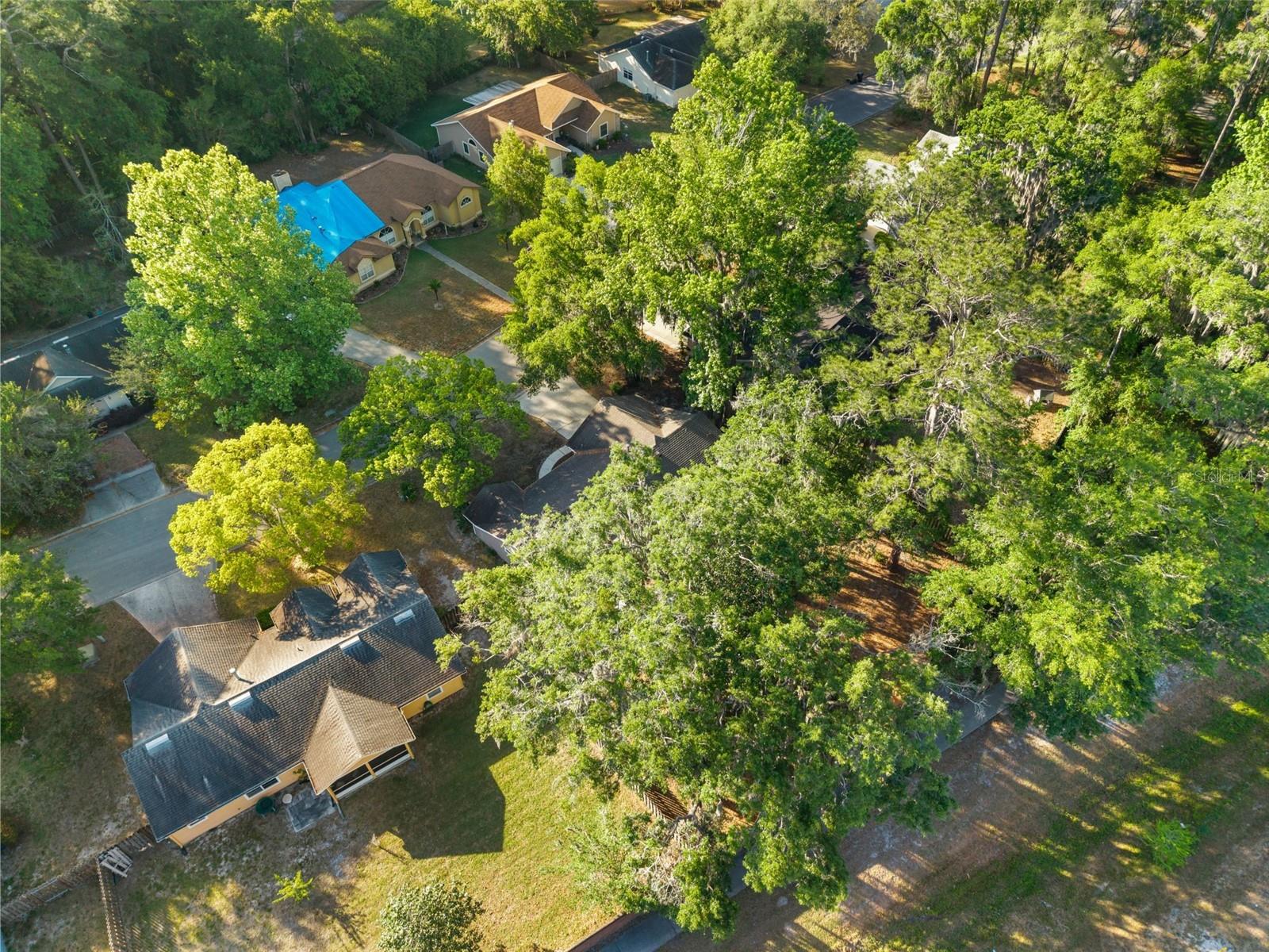 6234 NW 41ST DR, GAINESVILLE, FL, 32653