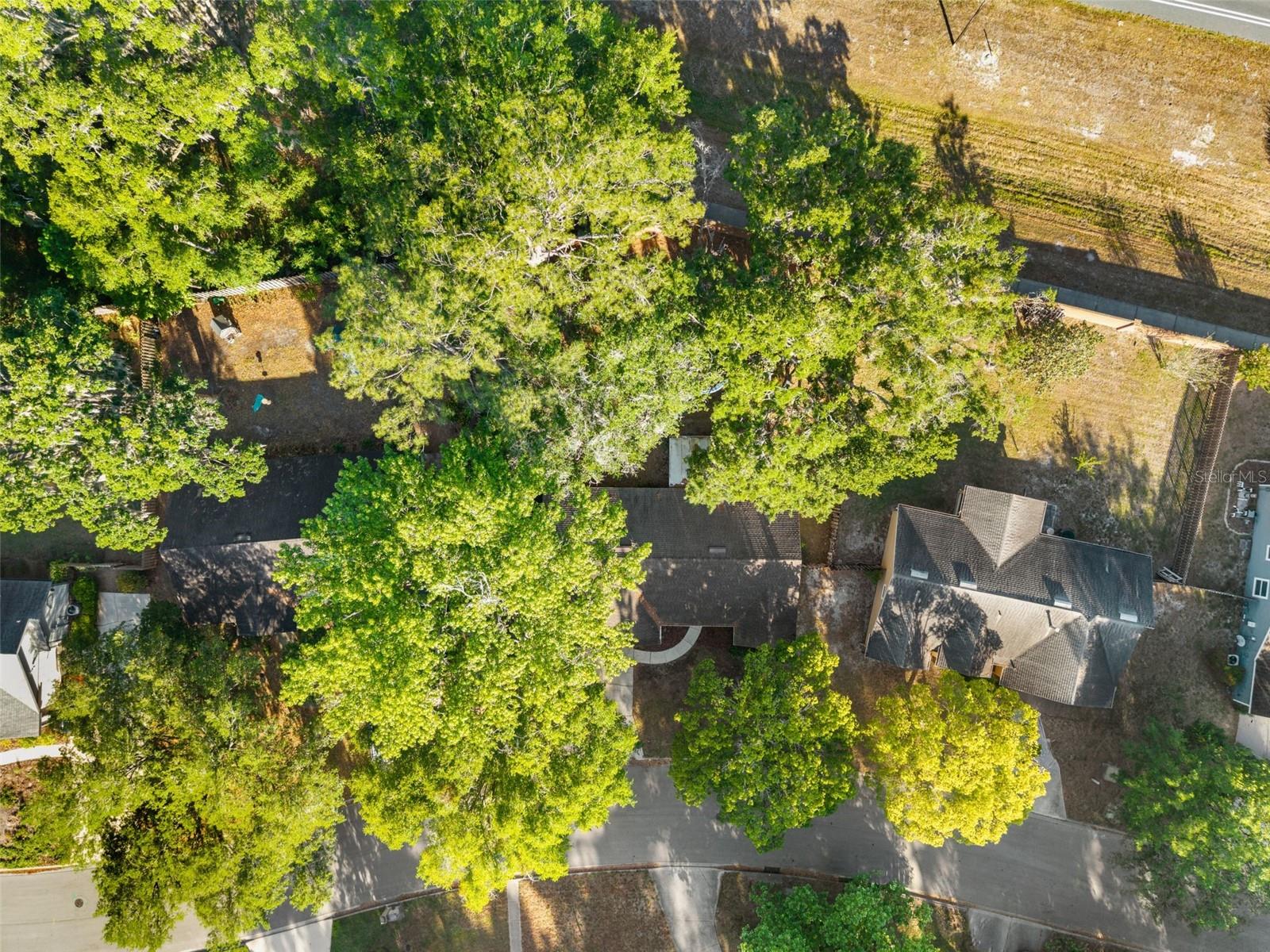 6234 NW 41ST DR, GAINESVILLE, FL, 32653