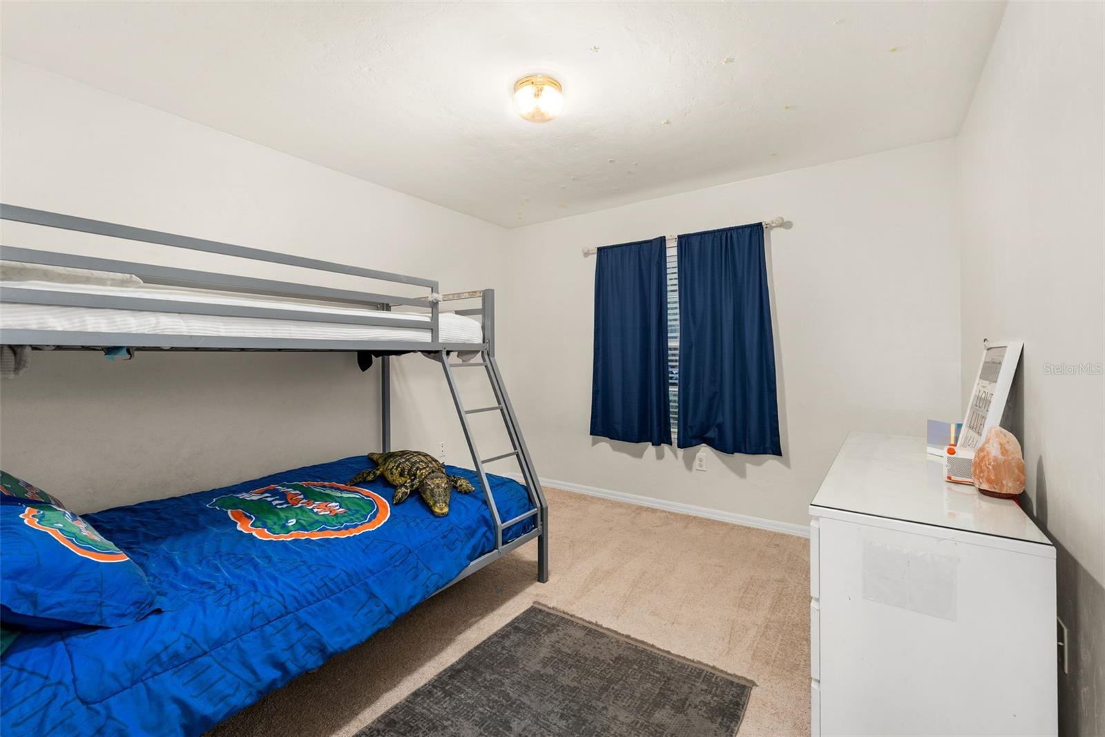 6234 NW 41ST DR, GAINESVILLE, FL, 32653