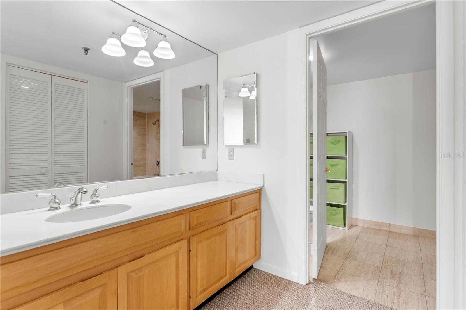 3301 BAYSHORE BLVD #702E, TAMPA, FL, 33629