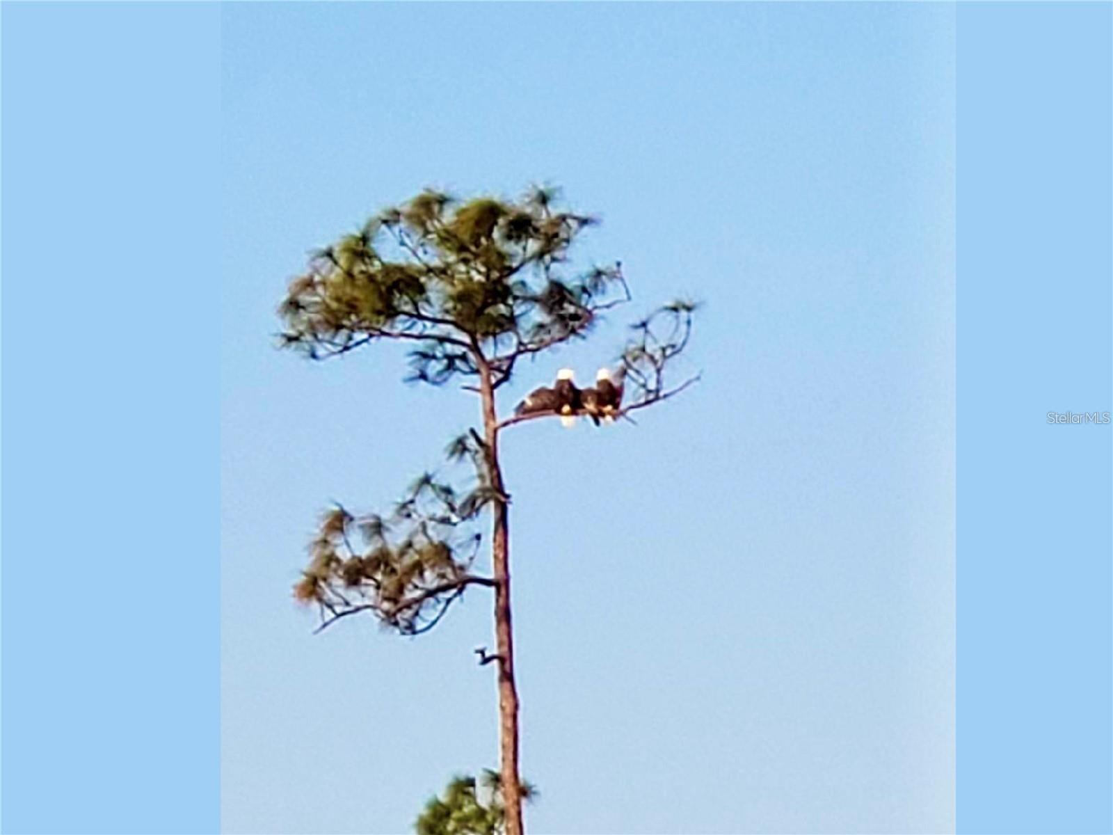 14049 BLACK BEAUTY DR #711, PUNTA GORDA, FL, 33955