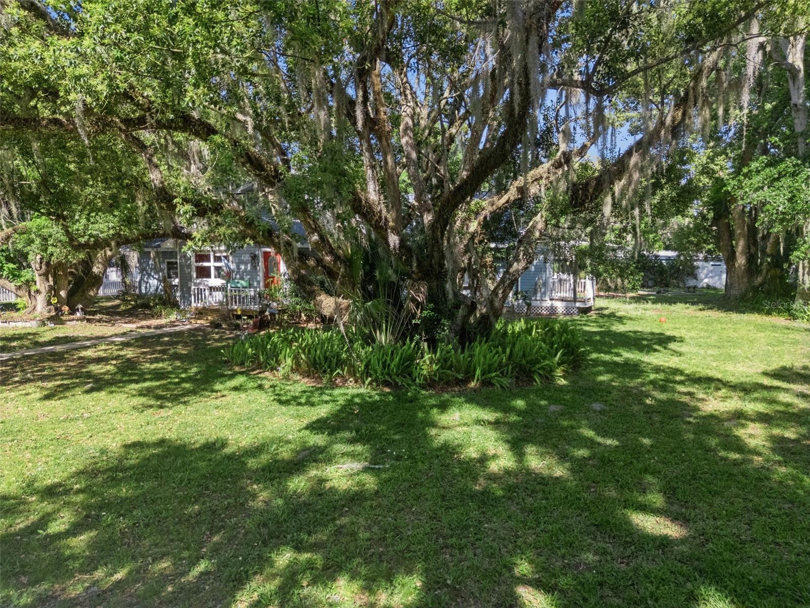 1048 N GRANDVIEW ST, MOUNT DORA, FL, 32757