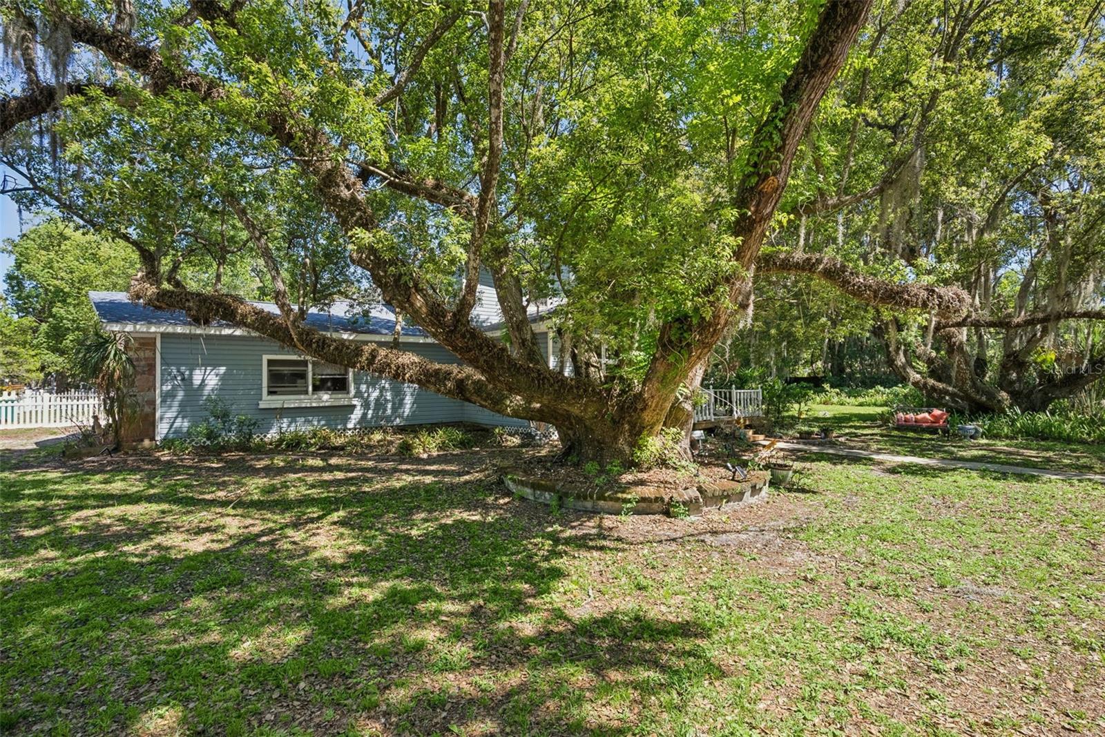 1048 N GRANDVIEW ST, MOUNT DORA, FL, 32757