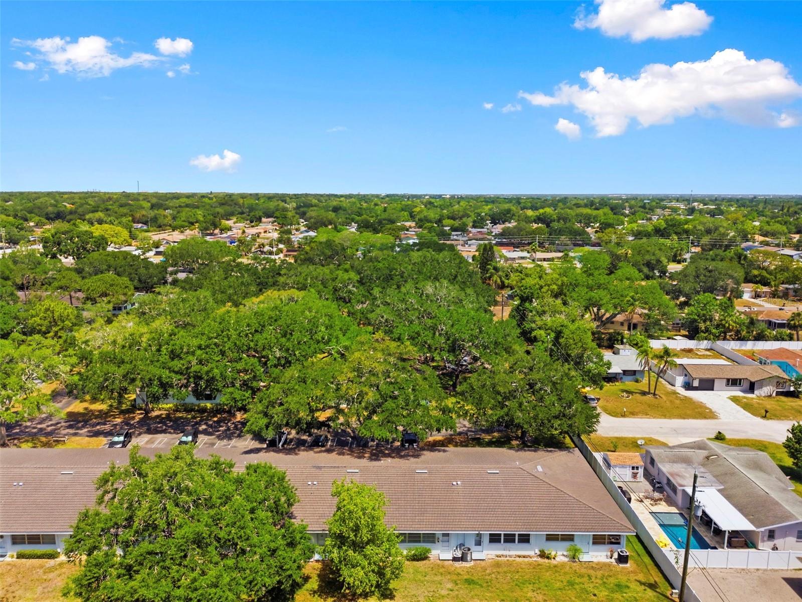 11200 102ND AVE #115, SEMINOLE, FL, 33778