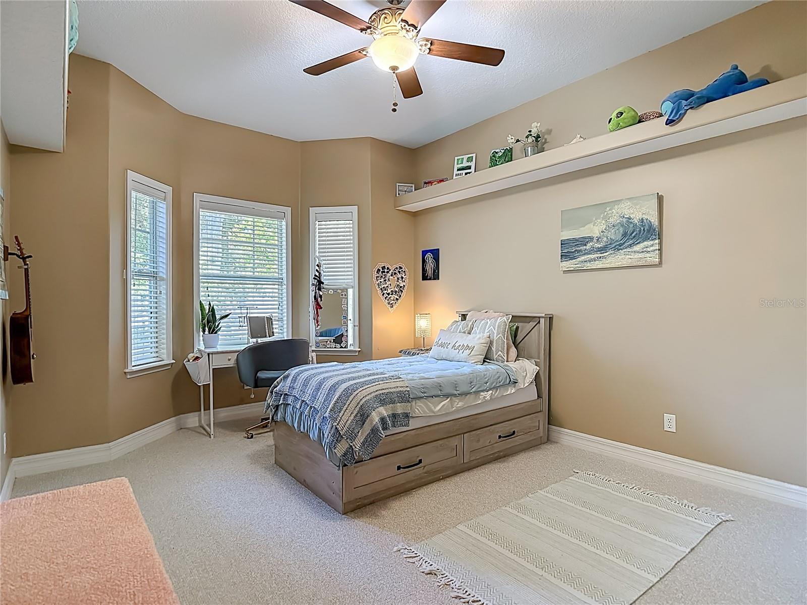 2425 VALRICO FOREST DR, VALRICO, FL, 33594