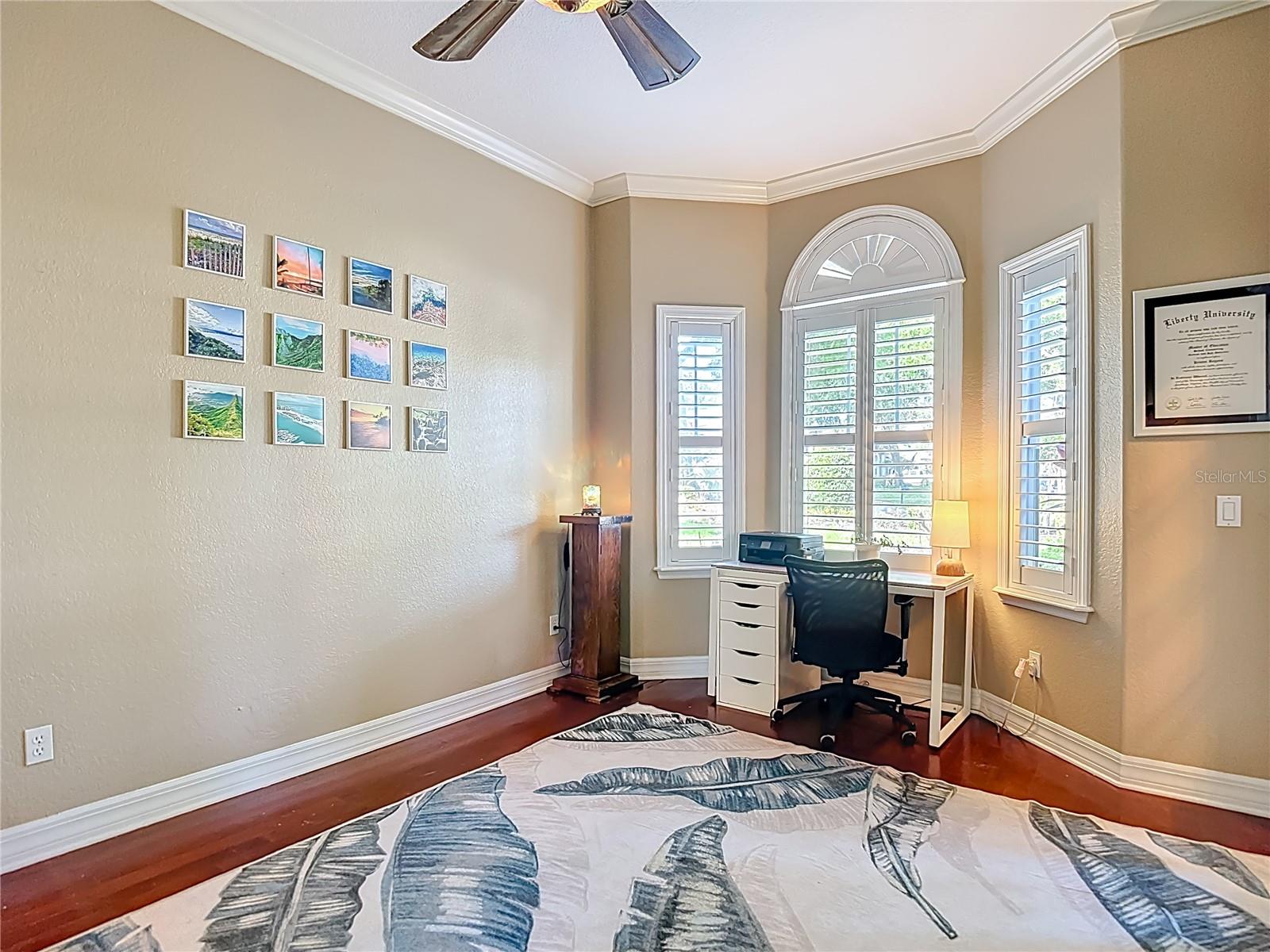 2425 VALRICO FOREST DR, VALRICO, FL, 33594