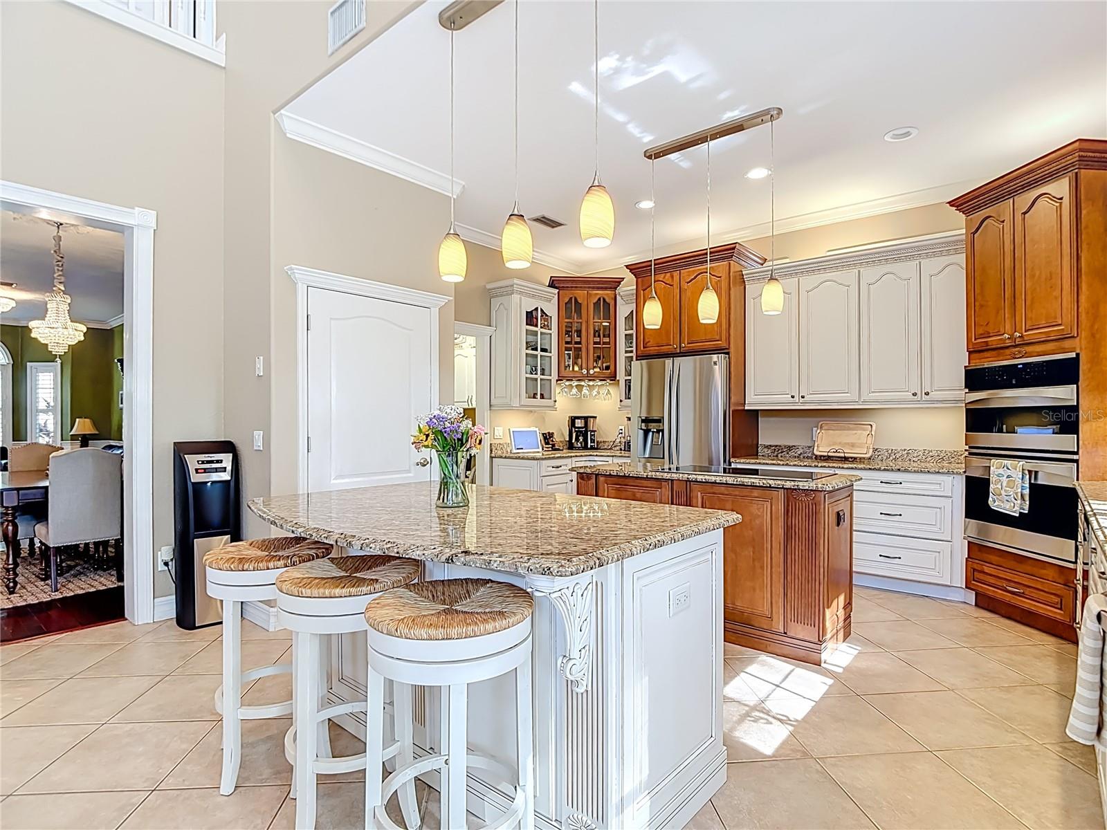 2425 VALRICO FOREST DR, VALRICO, FL, 33594