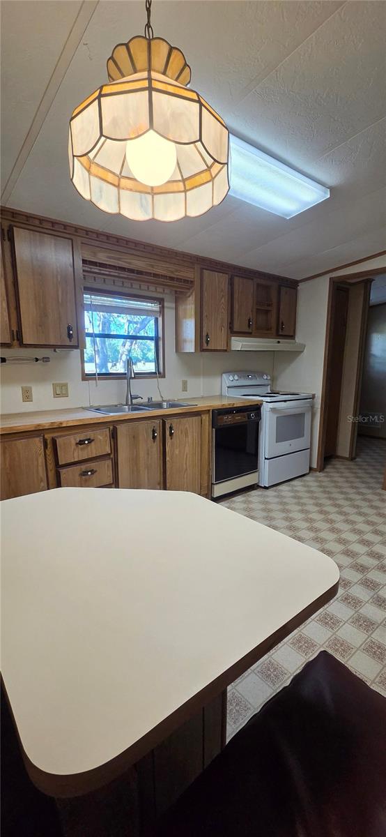 15802 SW 103RD AVE, ARCHER, FL, 32618