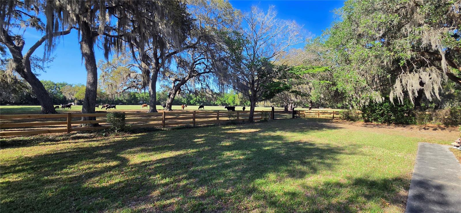 15802 SW 103RD AVE, ARCHER, FL, 32618