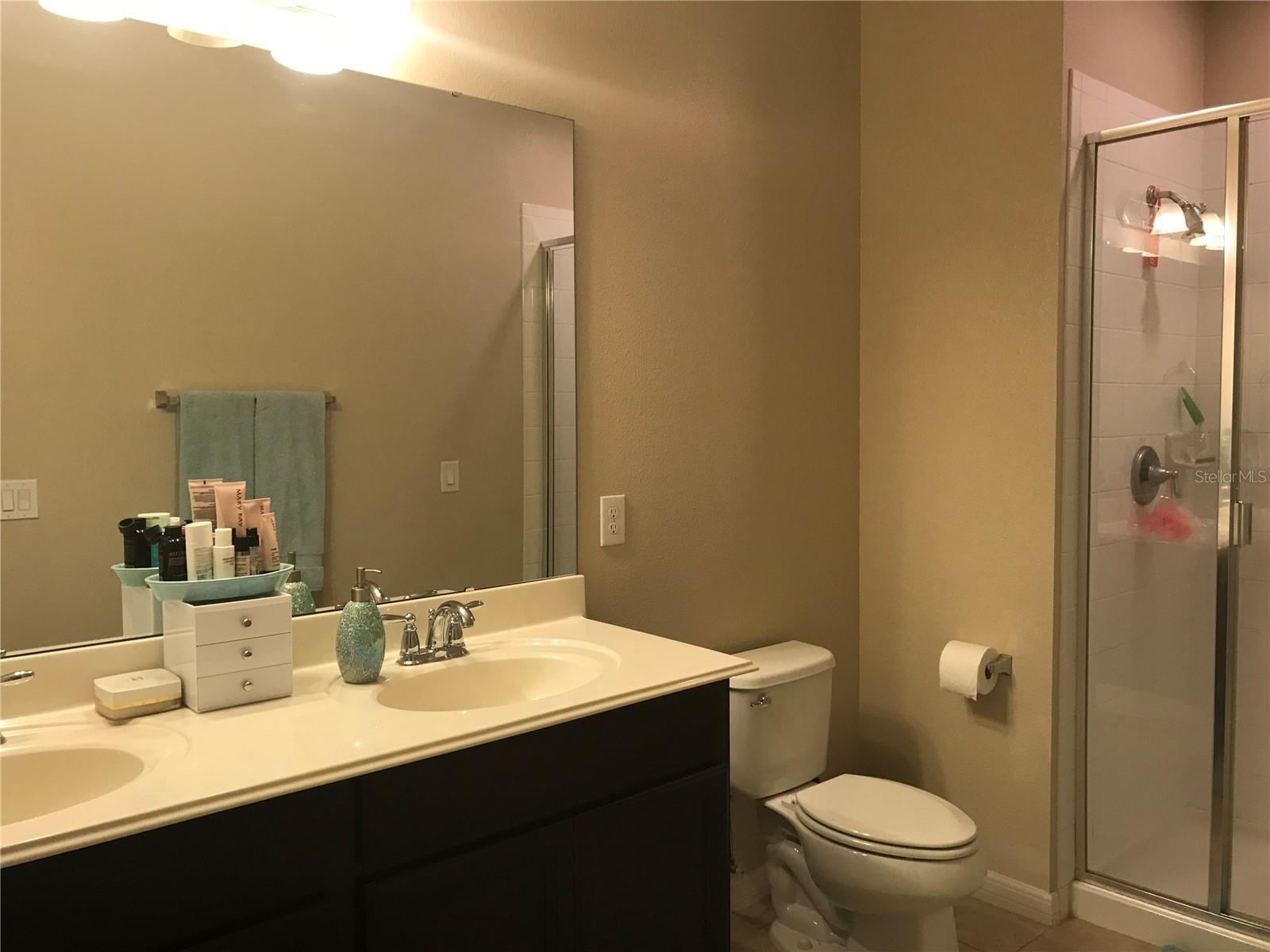 12210 LANGSTAFF DR, WINDERMERE, FL, 34786