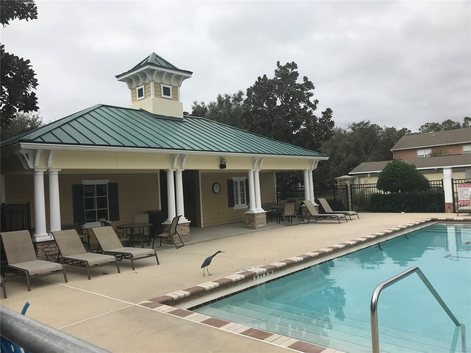 12210 LANGSTAFF DR, WINDERMERE, FL, 34786