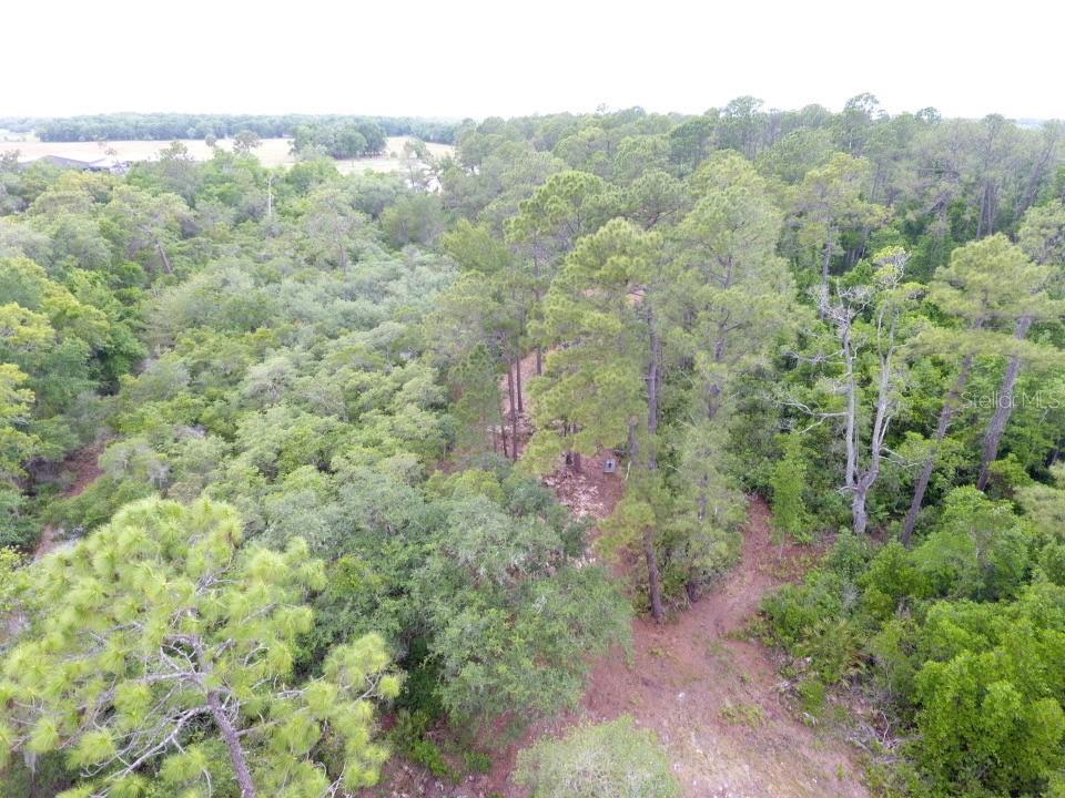 161 SNAKE HILL RD, CRESCENT CITY, FL, 32112