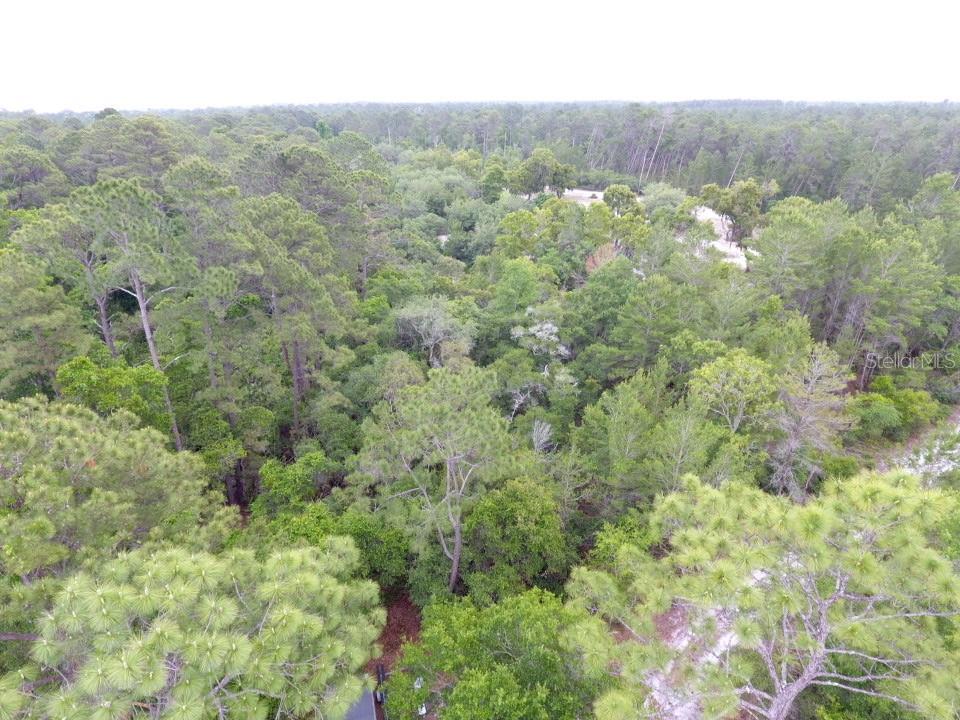 161 SNAKE HILL RD, CRESCENT CITY, FL, 32112