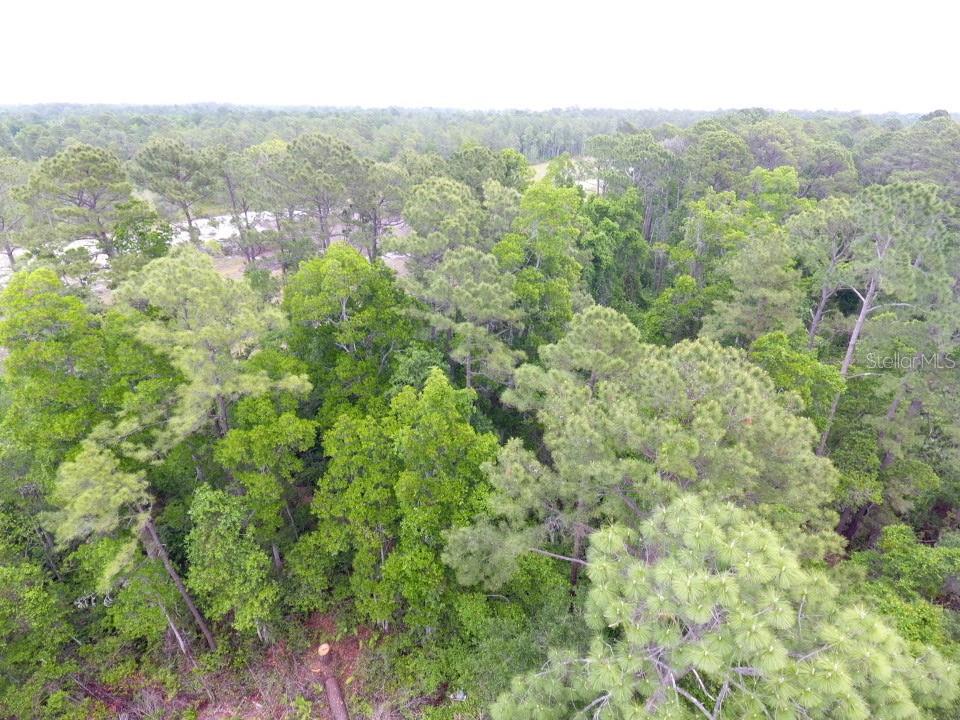 161 SNAKE HILL RD, CRESCENT CITY, FL, 32112