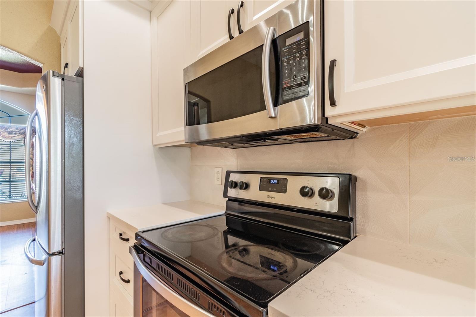 1936 TANGLEDVINE DR, WESLEY CHAPEL, FL, 33543