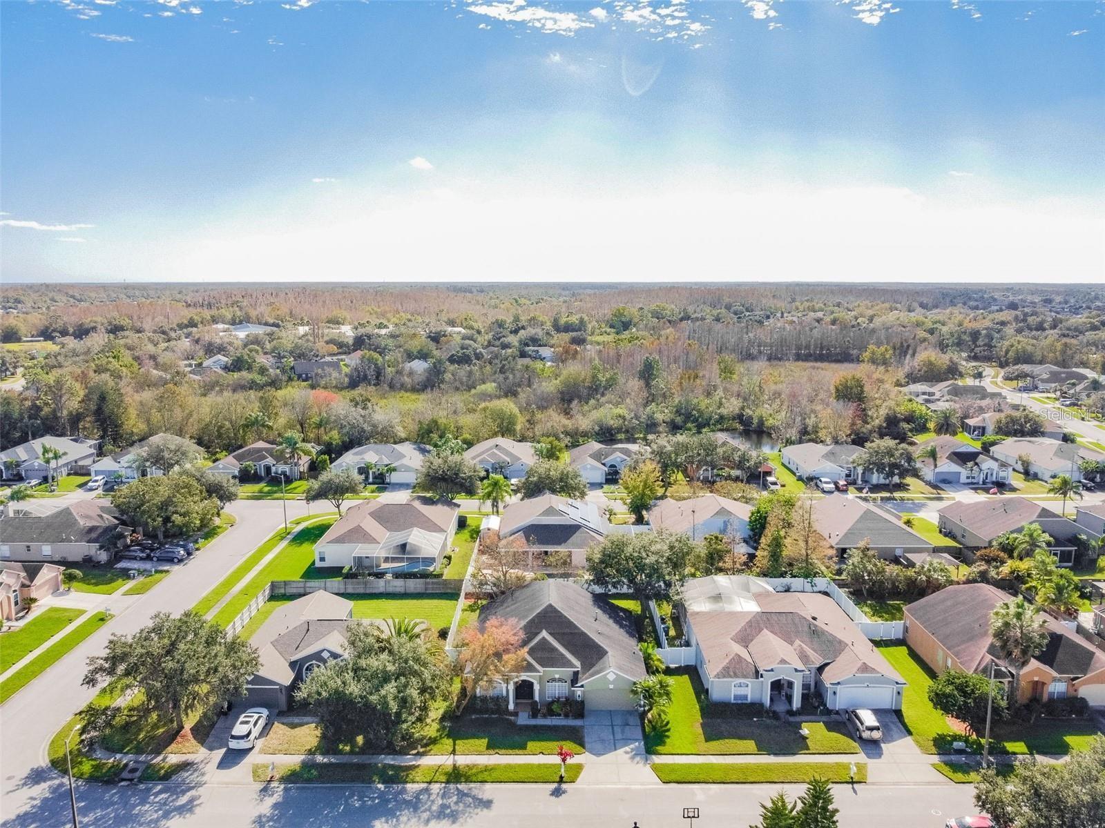 1936 TANGLEDVINE DR, WESLEY CHAPEL, FL, 33543