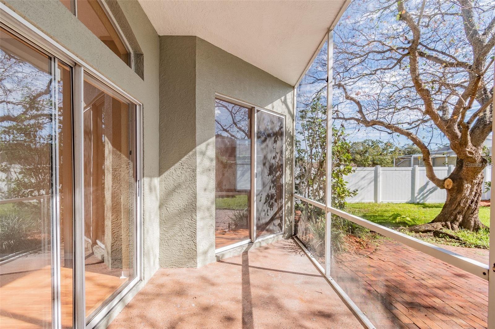 1936 TANGLEDVINE DR, WESLEY CHAPEL, FL, 33543