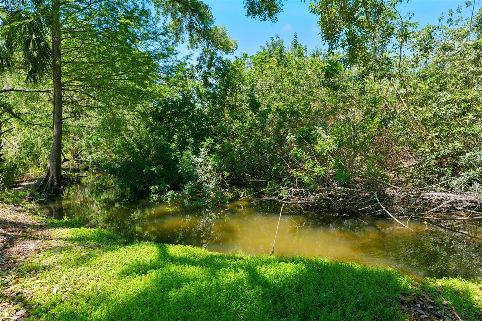 1360 SAGO CT, DUNEDIN, FL, 34698