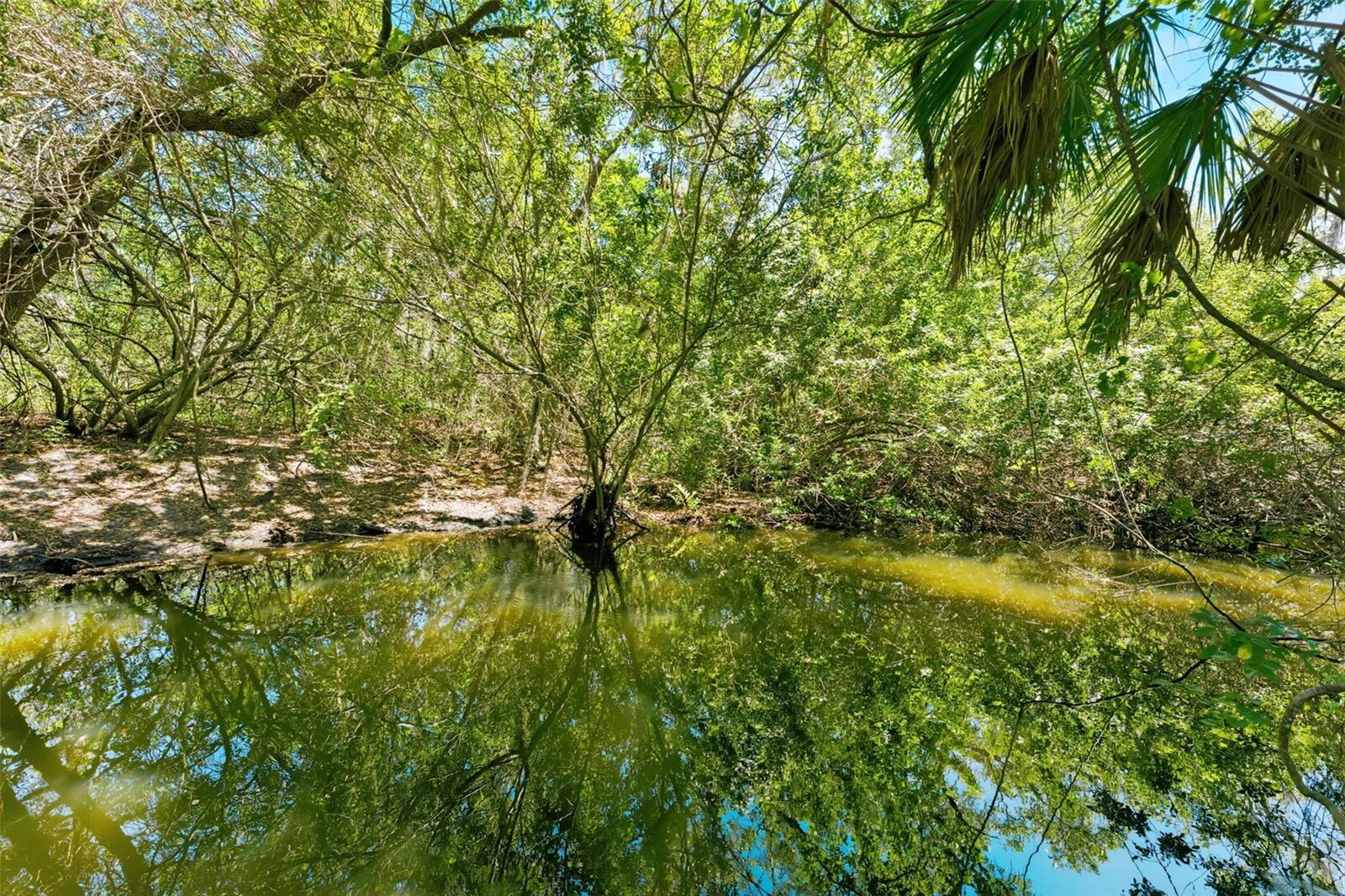 1360 SAGO CT, DUNEDIN, FL, 34698